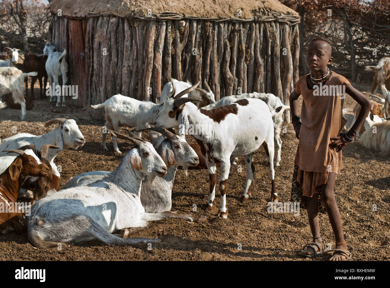 Himbas Chico mirando después de las cabras en una aldea cerca de Epupa Falls, Kunene, Namibia, Africa. Foto de stock