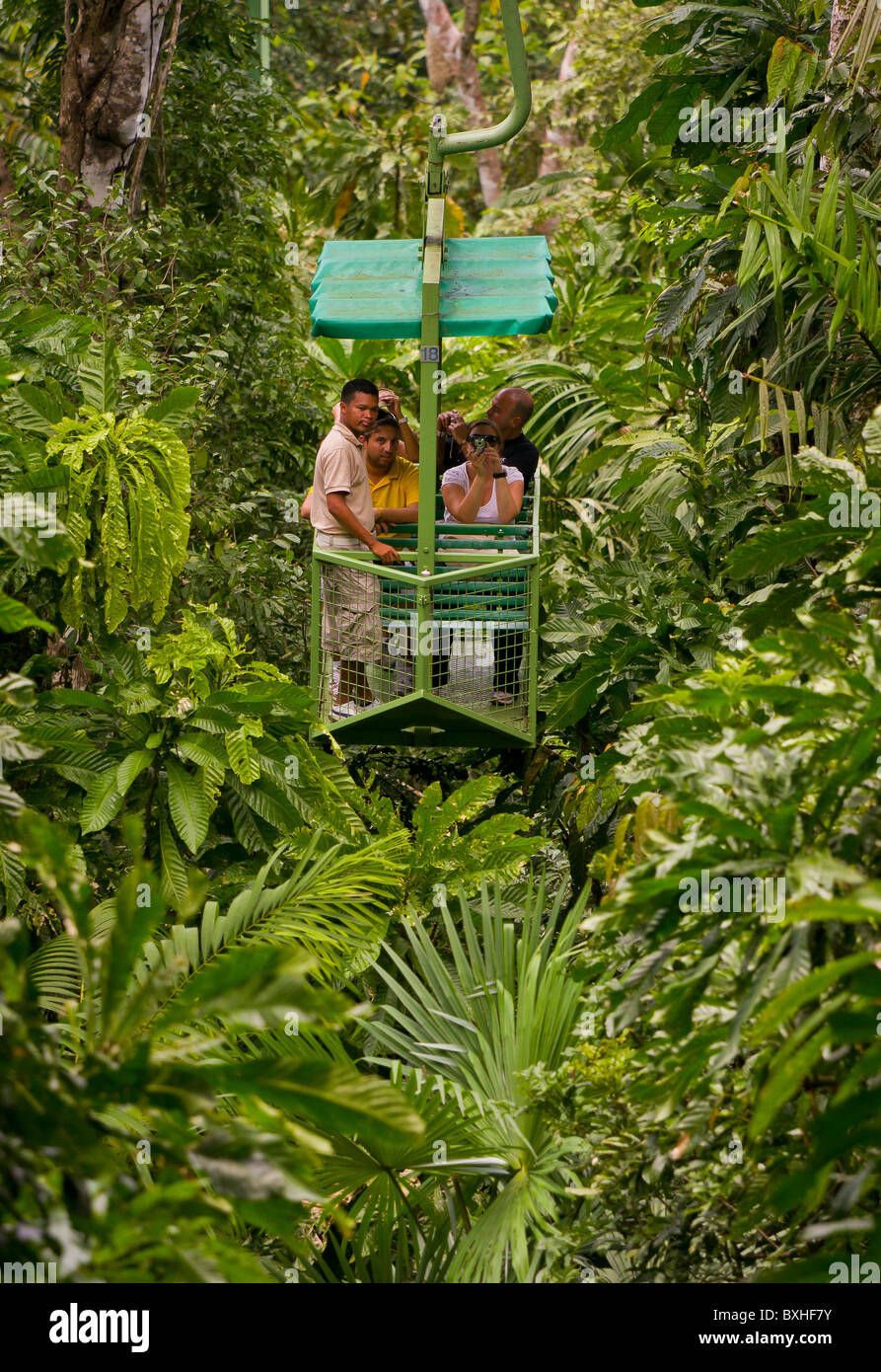 GAMBOA, Panamá Turistas y guía en teleférico teleférico en la selva