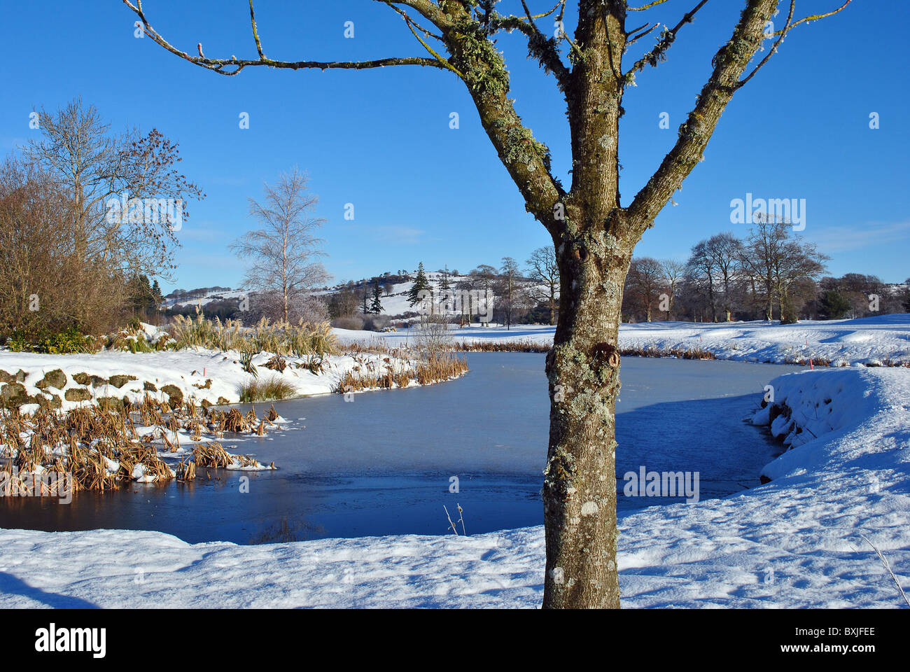 El país de las maravillas de invierno Foto de stock