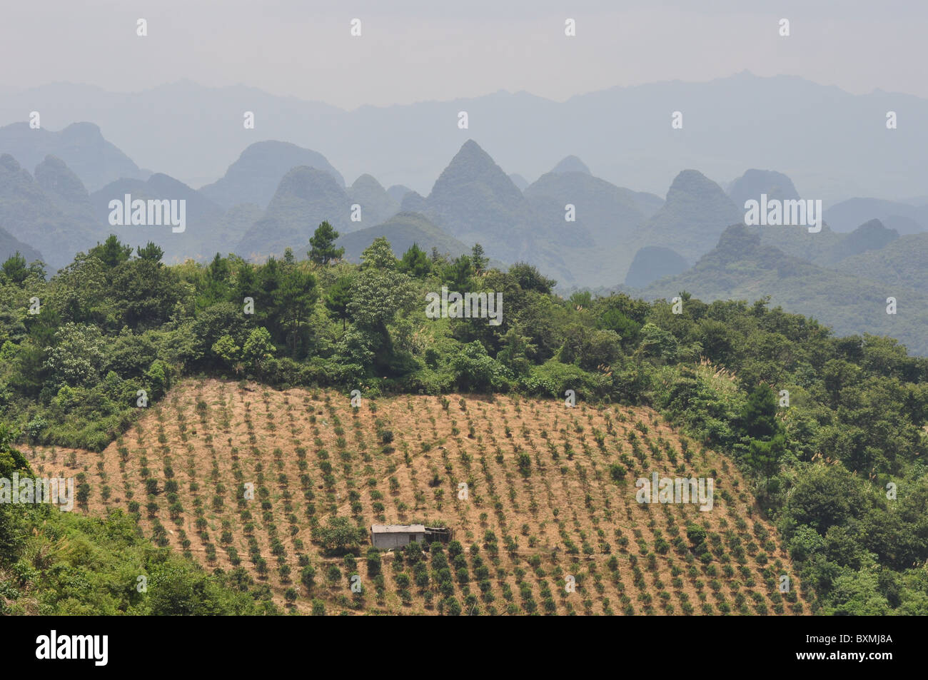 Impresionantes vistas del paisaje de la zona de Guilin, China meridional Foto de stock