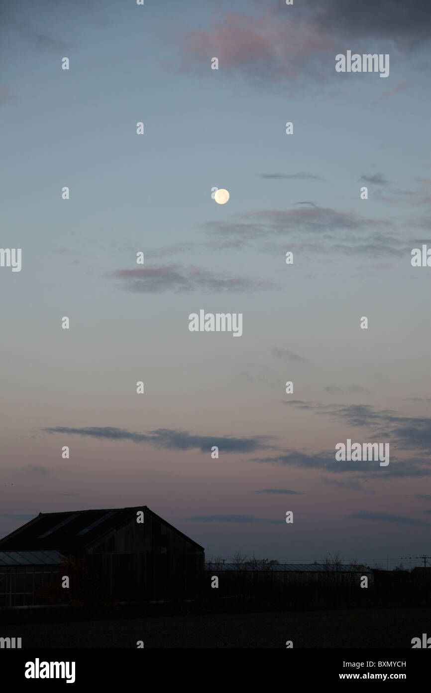 Luna llena de invierno en el cielo del amanecer Foto de stock