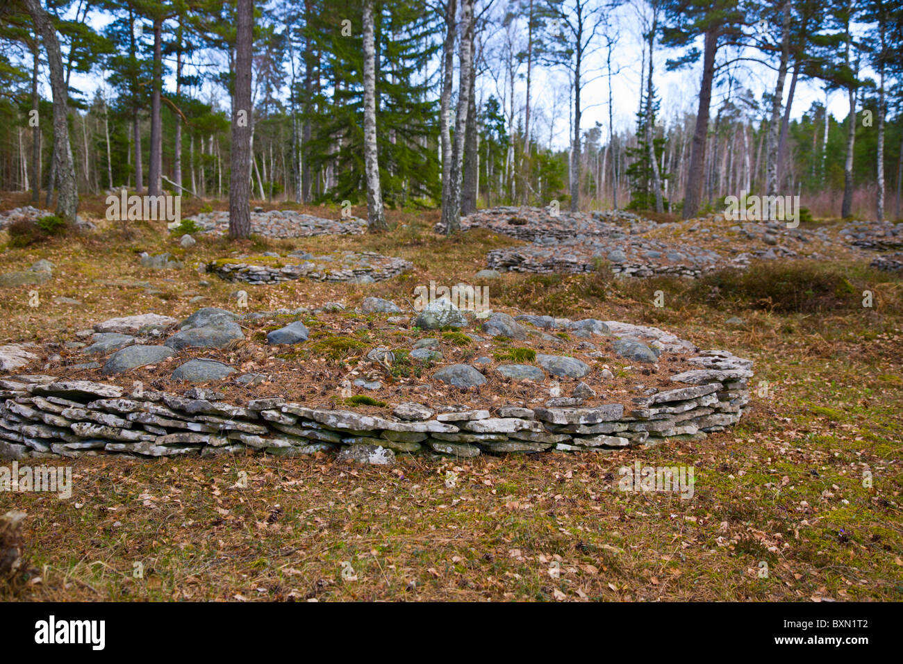 Cairns en el siglo VII 1lugar de sepultura de Trullhalsar, Gotland, SUECIA. Foto de stock