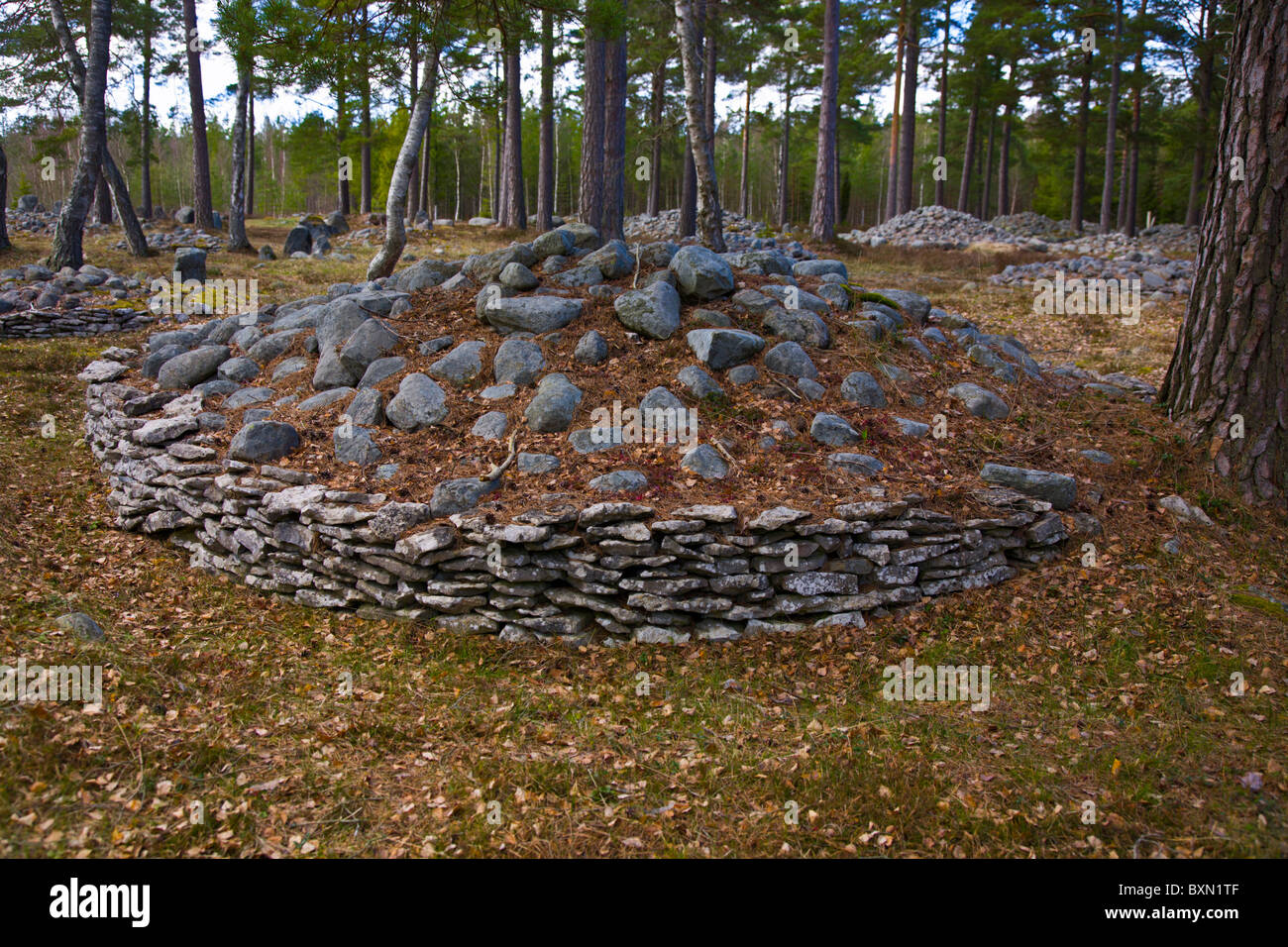 Cairns en el siglo VII lugar de sepultura de Trullhalsar, Gotland, SUECIA. Foto de stock