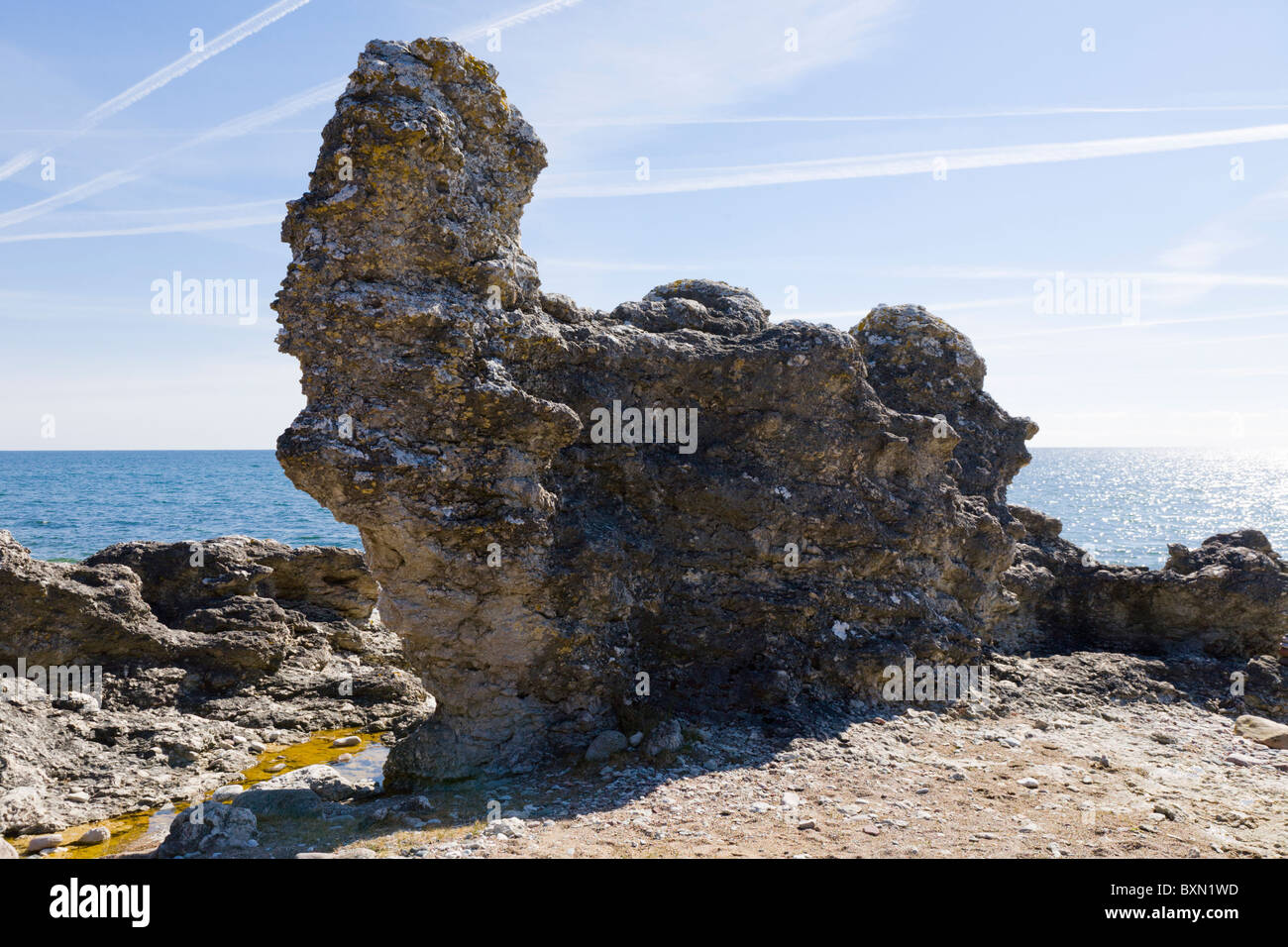 Formaciones de piedra caliza, mar-pilas en Folhammar, Gotland, SUECIA. Foto de stock