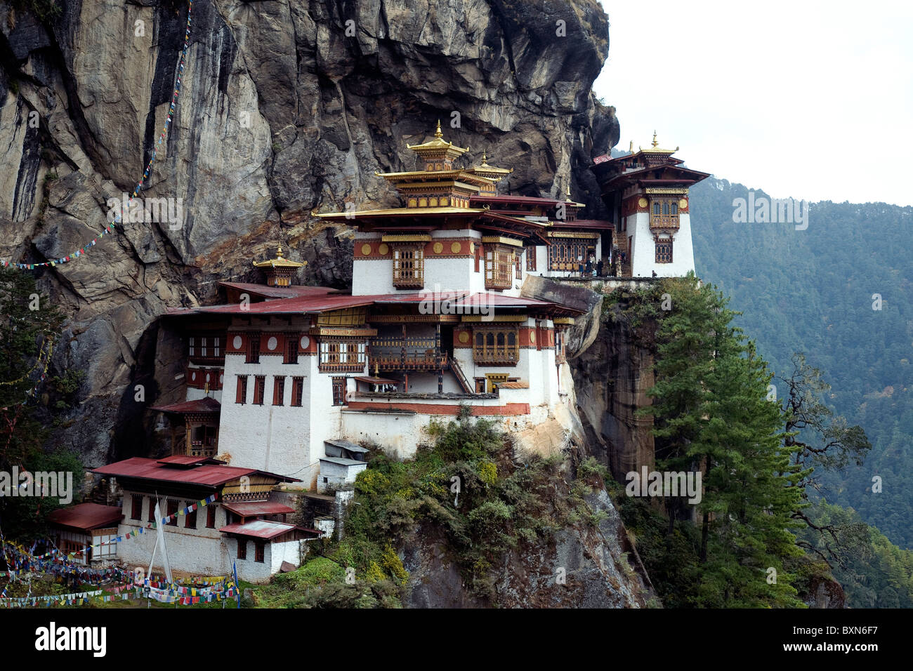 Tiger's Nest, o Taktsang, un monasterio budista, espectacularmente situado en lo alto de un acantilado en Bhután Foto de stock