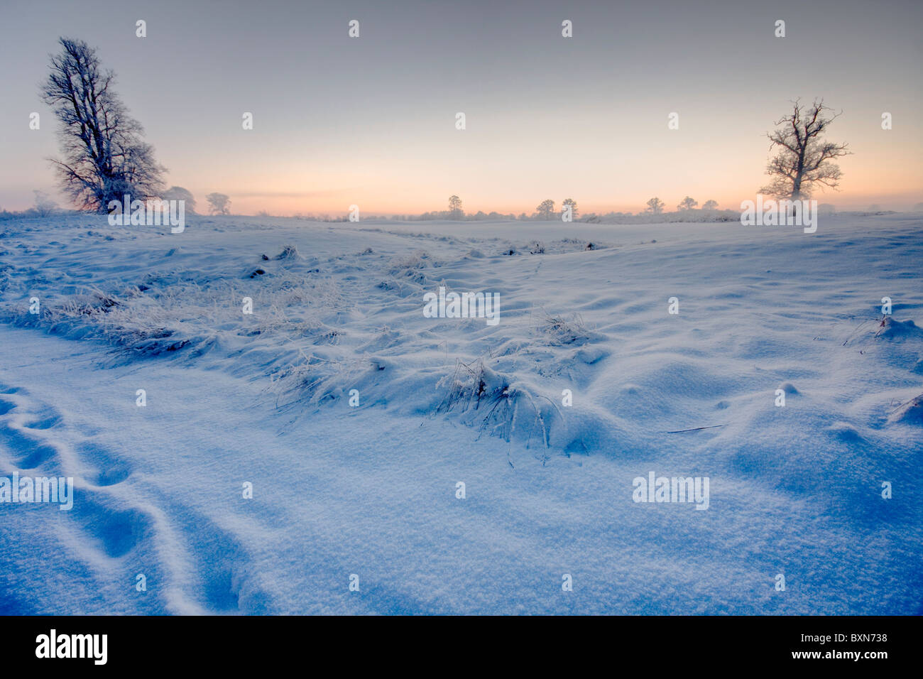 Nieve congelada en invierno y el atardecer en el horizonte Foto de stock