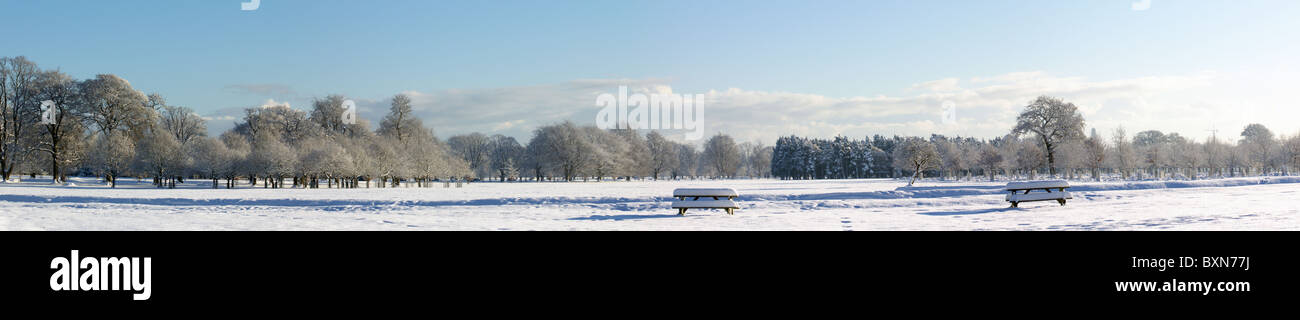 Cubiertas de nieve, mesas de picnic en el parque Foto de stock