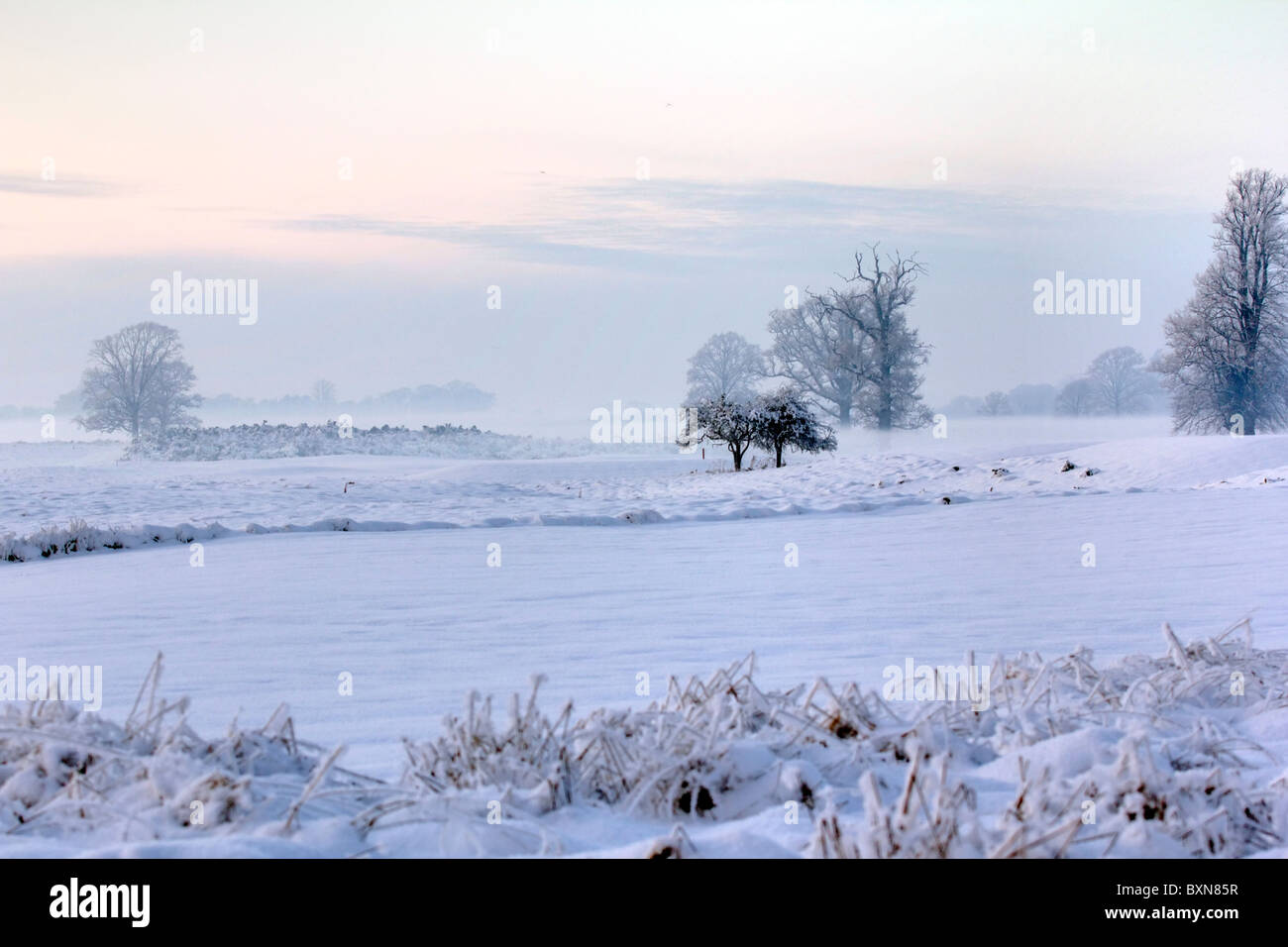 Perspectiva de invierno en paisaje helado Foto de stock