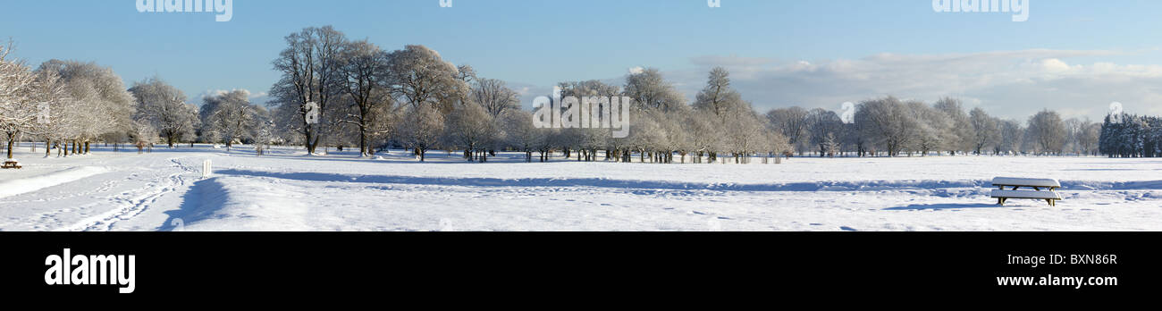 Vista panorámica de invierno en el parque Foto de stock