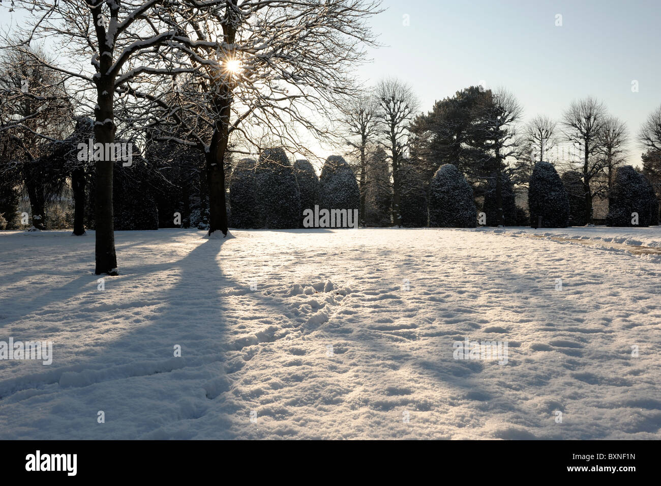Grosvenor Park Chester con el sol y la nieve Foto de stock