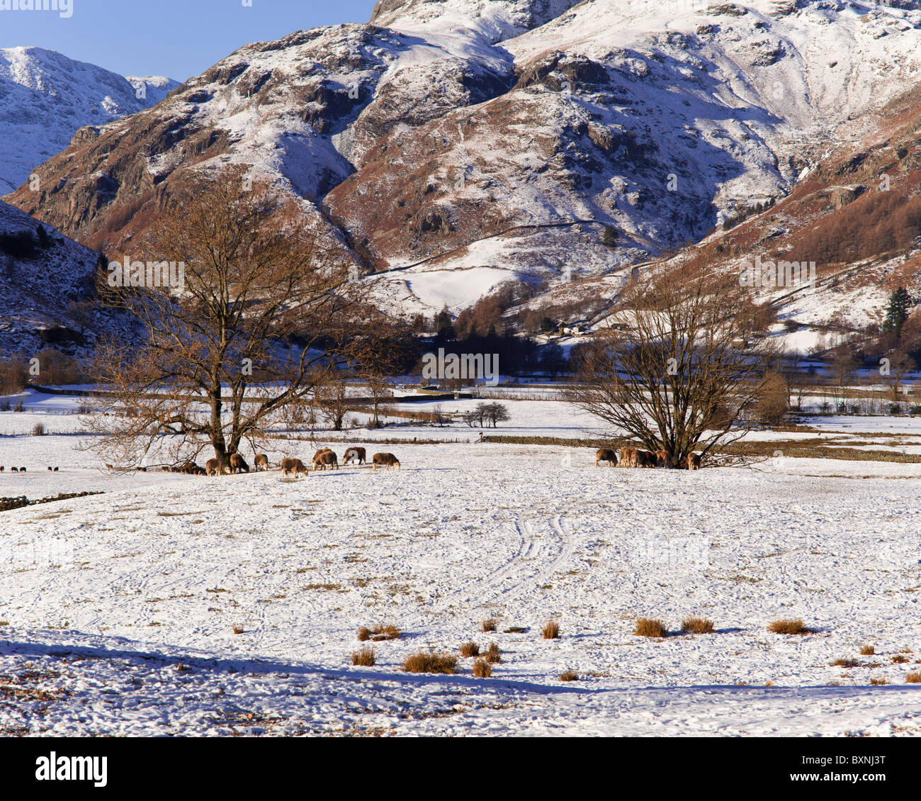 Gran Langdale, Cumbria, Reino Unido Foto de stock