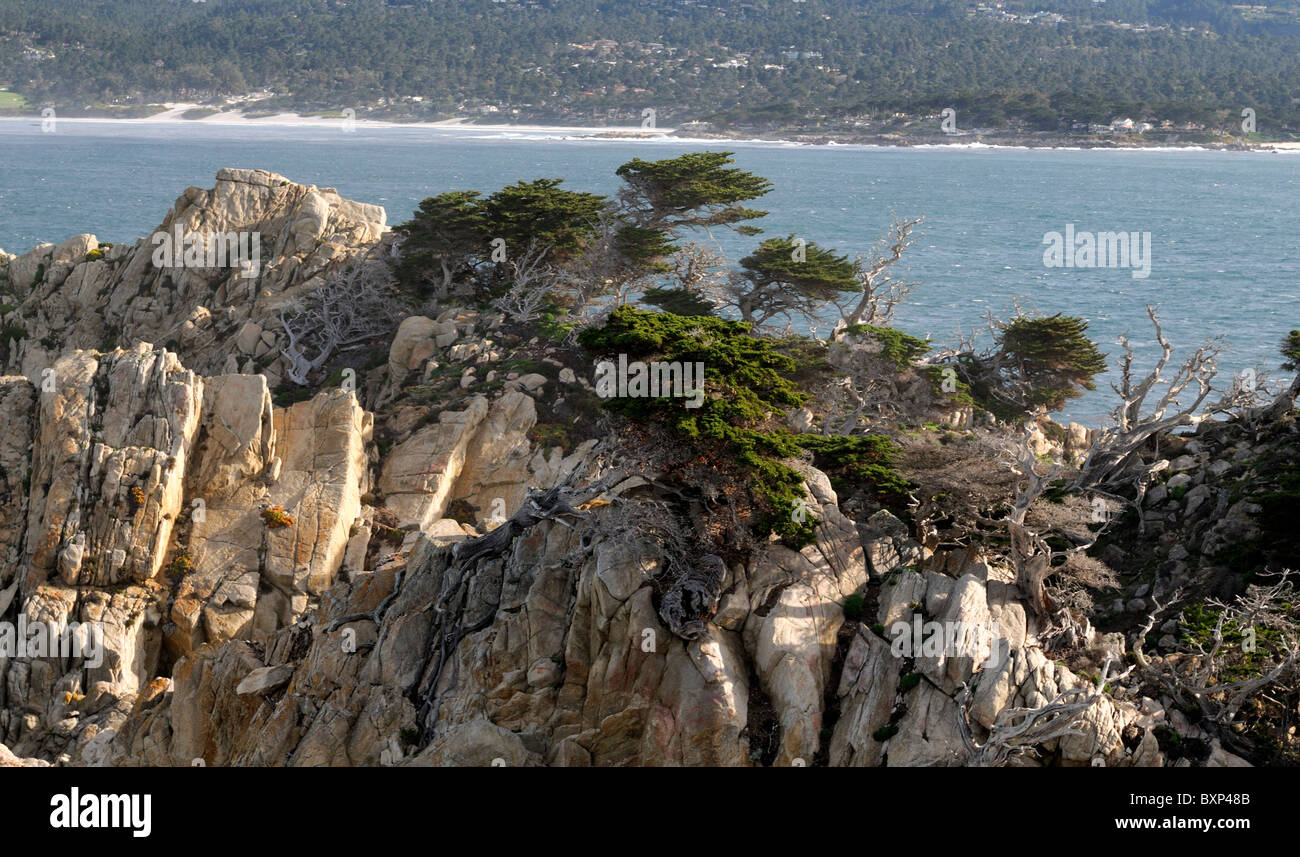 Point Lobos State Reserve litoral costero de la costa de la bahía de Monterey paisaje rocoso California EE.UU. Foto de stock