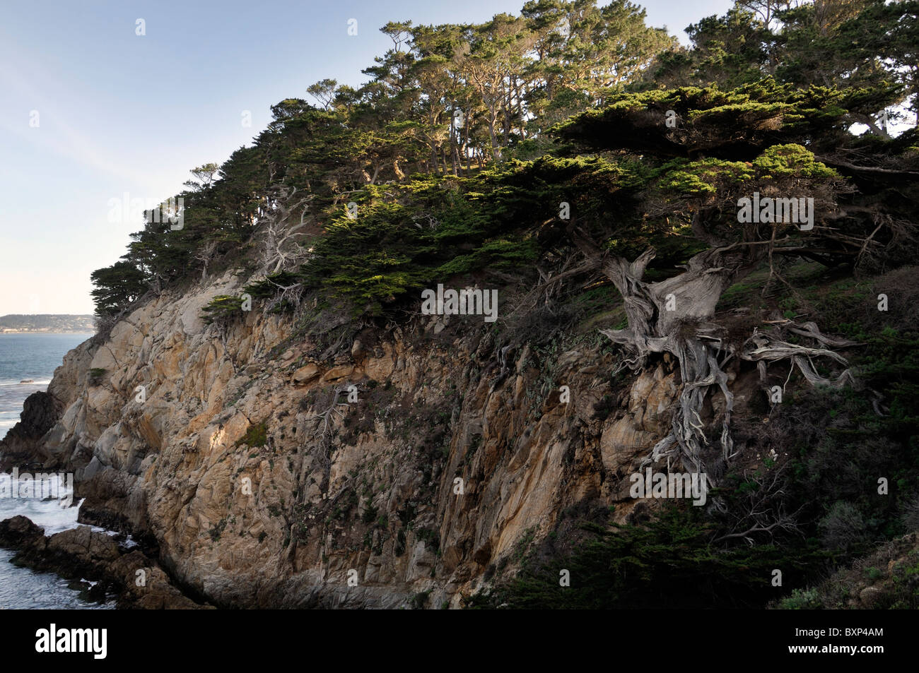 Point Lobos State Reserve litoral costero de la costa de la bahía de Monterey California paisaje rocoso veterano viejo ciprés de EE.UU. Foto de stock