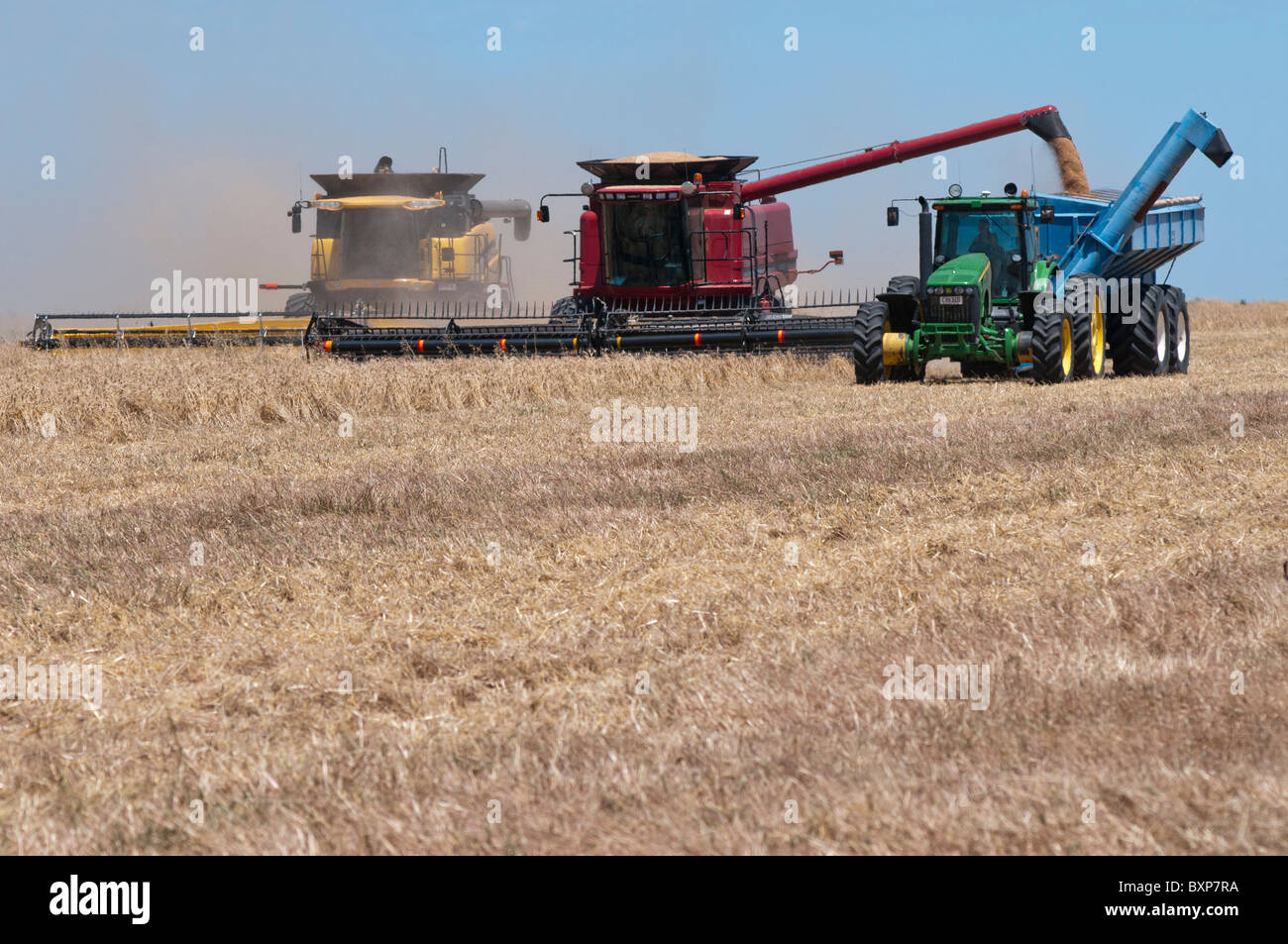 La cosecha de trigo en el lejano oeste de Nueva Gales del Sur, Australia Foto de stock