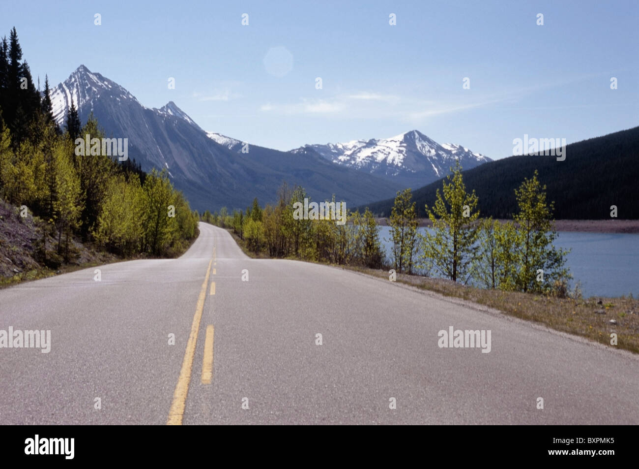 Carretera horizontal arboles camino pinos fotografías e imágenes de