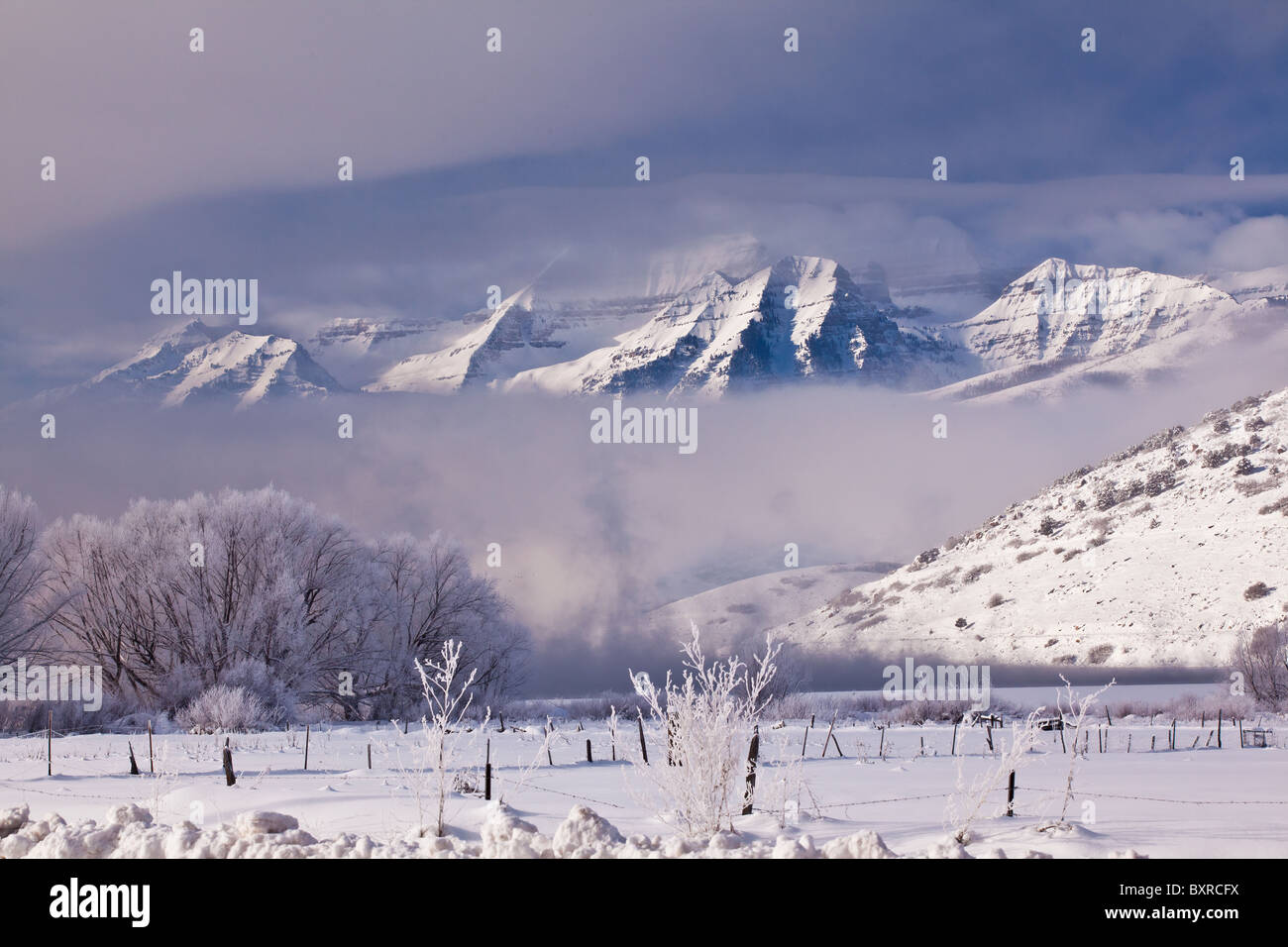 Una bella escena de invierno con escarcha en los árboles y vallas, con las montañas al fondo Timpanogas y cielos azules Foto de stock