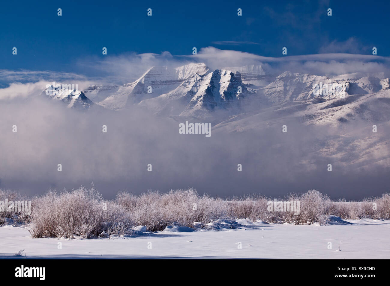 Una bella escena de invierno con escarcha en los árboles y vallas, con las montañas al fondo Timpanogas y cielos azules Foto de stock