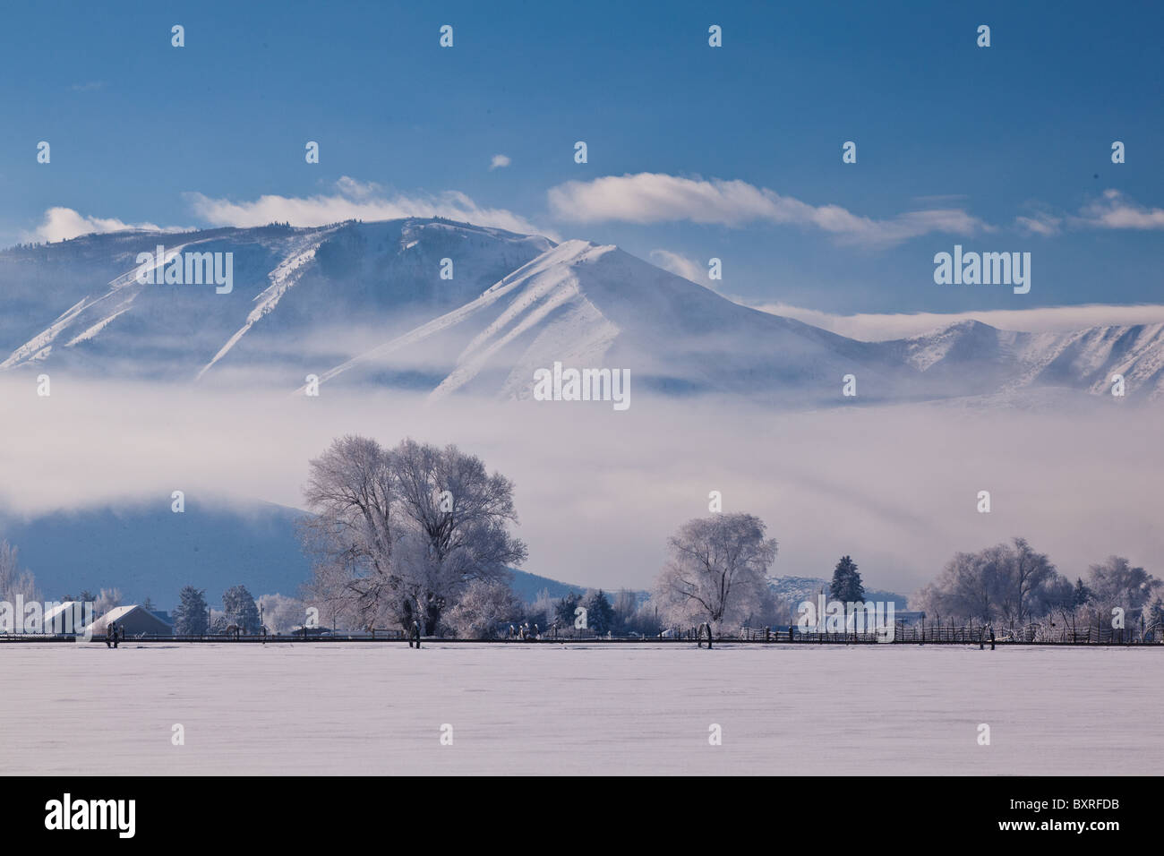 Una bella escena de invierno con escarcha en los árboles y vallas, con las montañas al fondo Timpanogas y cielos azules Foto de stock