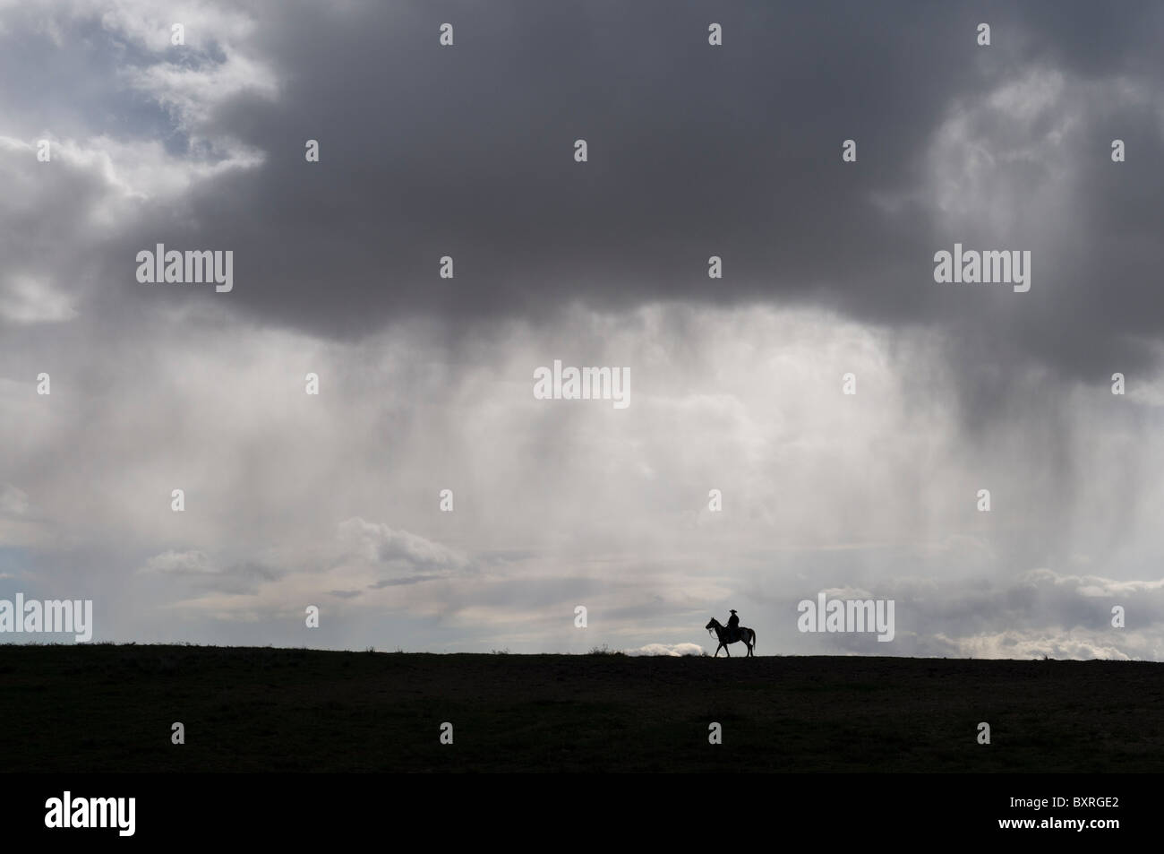 Silueta de un caballo y jinete solitario bajo un cielo grande Foto de stock