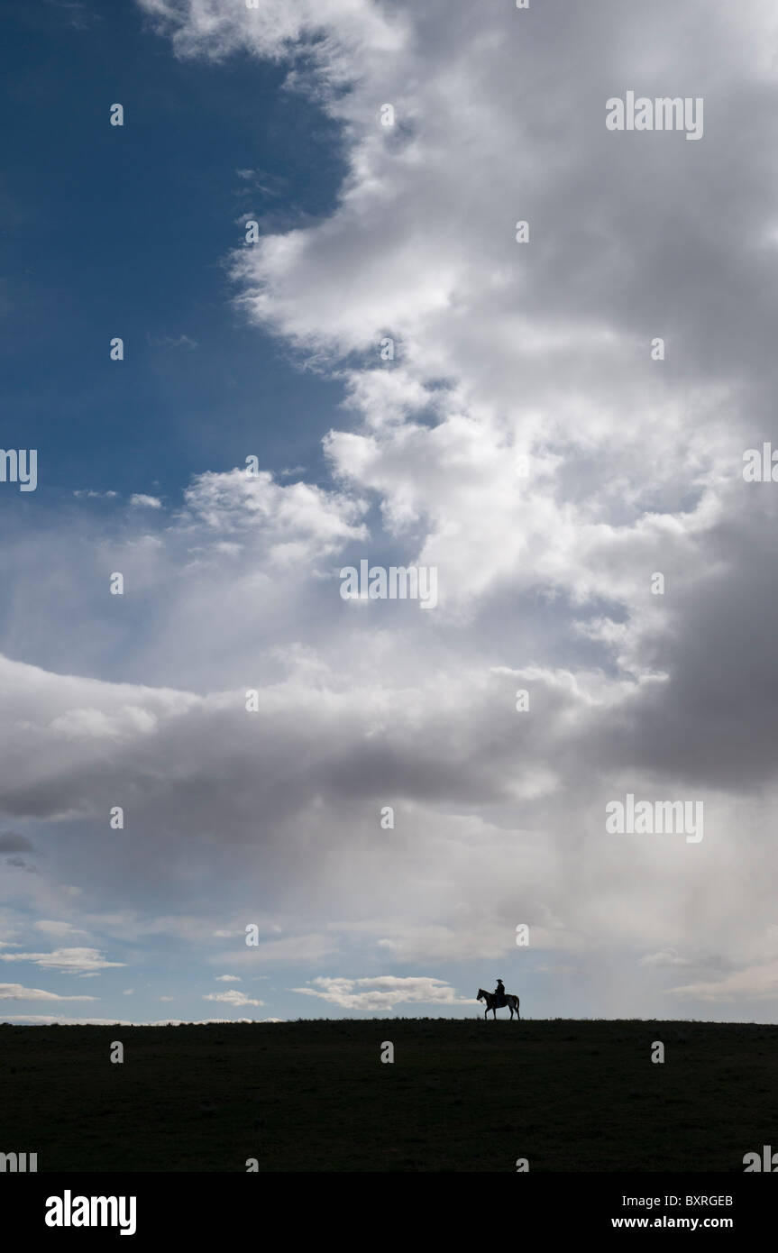 Silueta de un caballo y jinete solitario bajo un cielo grande Foto de stock