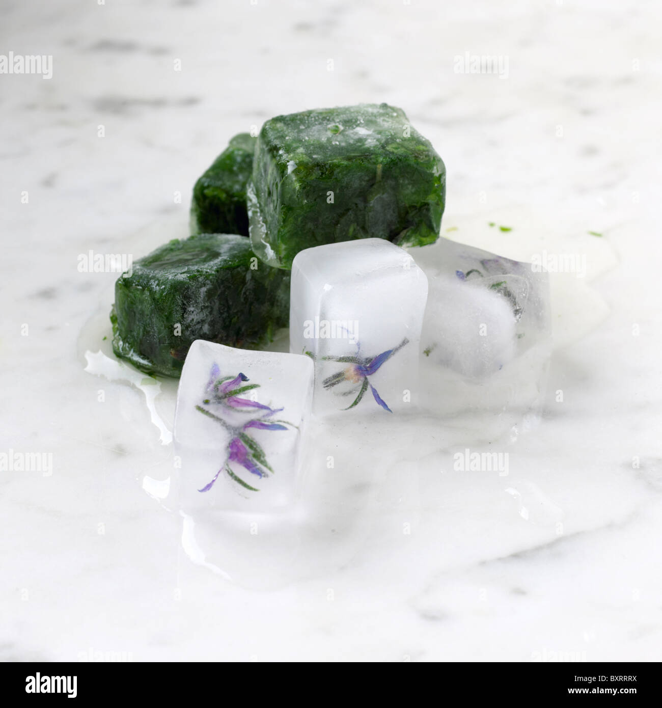 Hierbas congeladas y la borraja flores sobre la superficie de mármol Foto de stock