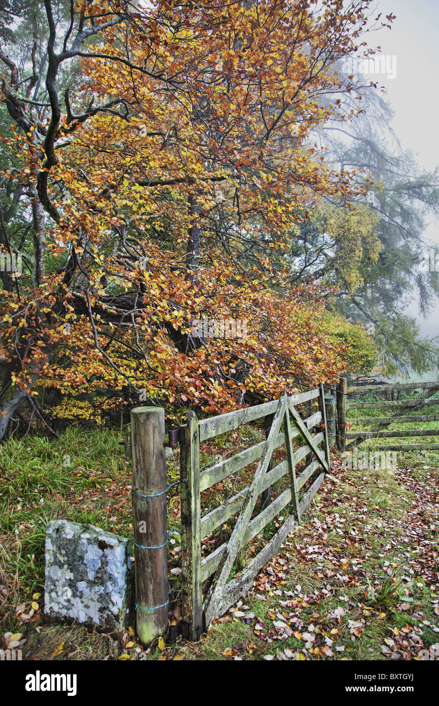 Vista panorámica con la puerta de la finca y la ruta en Escocia. Foto de stock