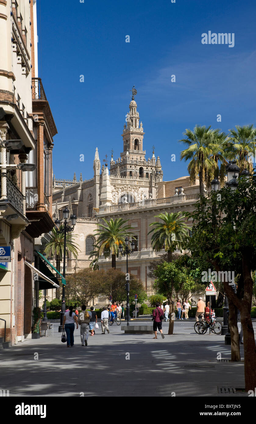 España, Sevilla, La Giralda y la Catedral. Foto de stock