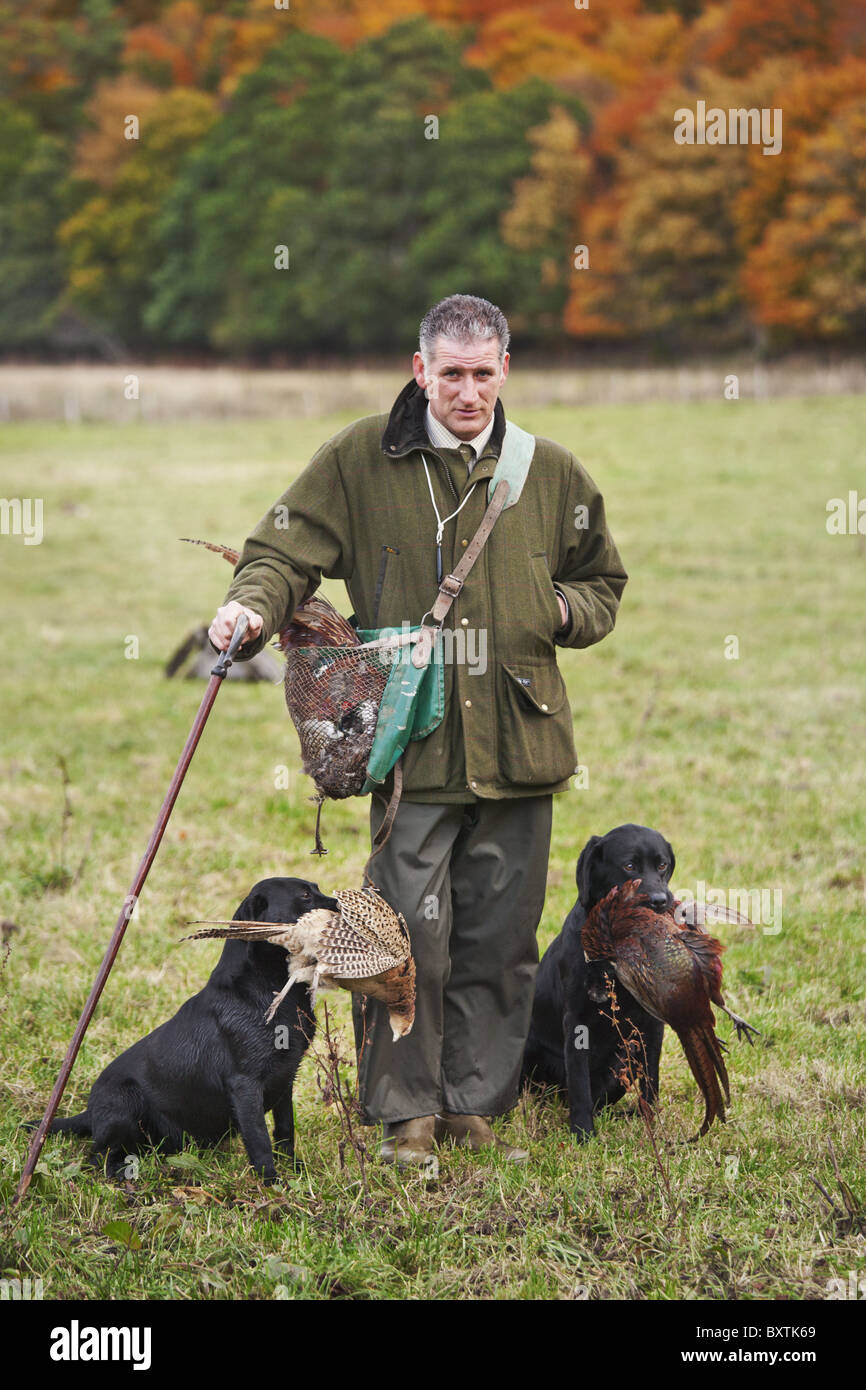 Game Keeper con su 2 Retriever perros de caza en Escocia Foto de stock