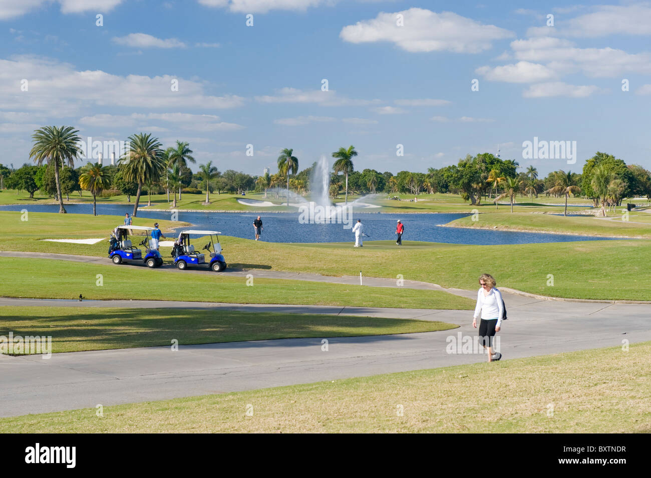 Marriott Doral Golf Resort & Spa , Miami , Florida , USA , los golfistas & caddies con buggies poniendo 18 hoyos de Blue Monster Foto de stock