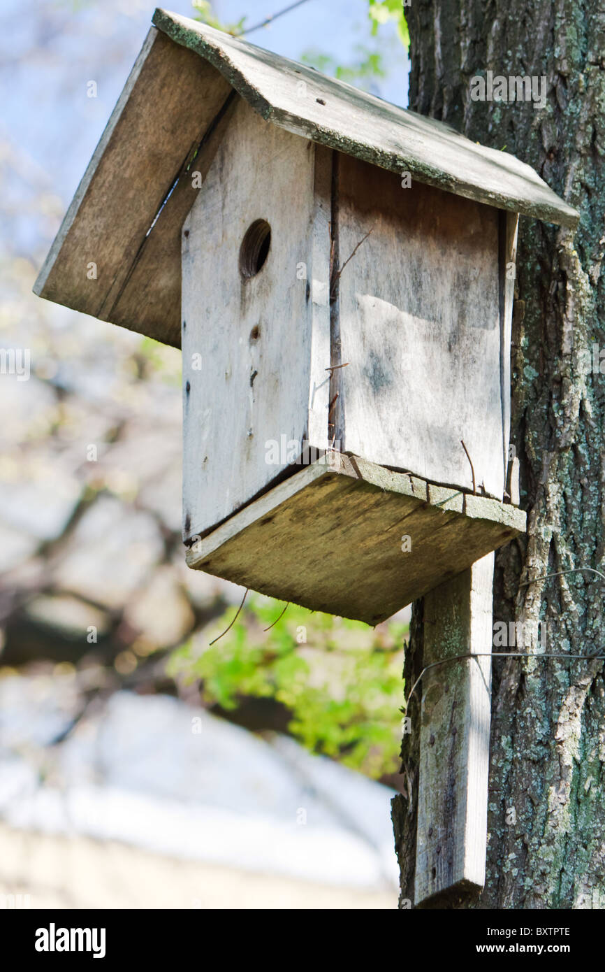 Pájaro de madera casero casa en el árbol en primavera Fotografía de stock -  Alamy