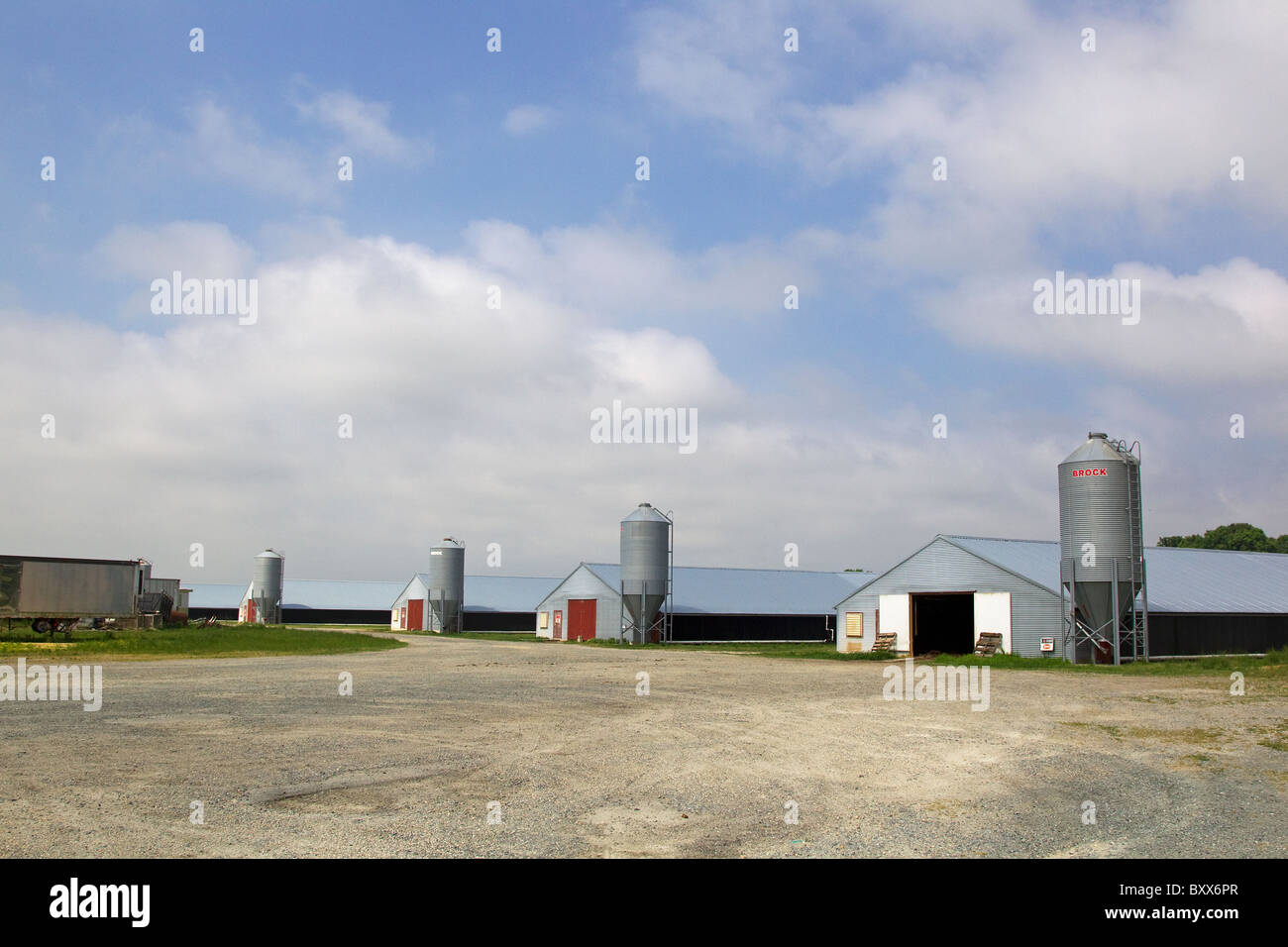 Aves de corral graneros, galpones, en la granja de fábrica Temperanceville, Virginia, EE.UU. Foto de stock