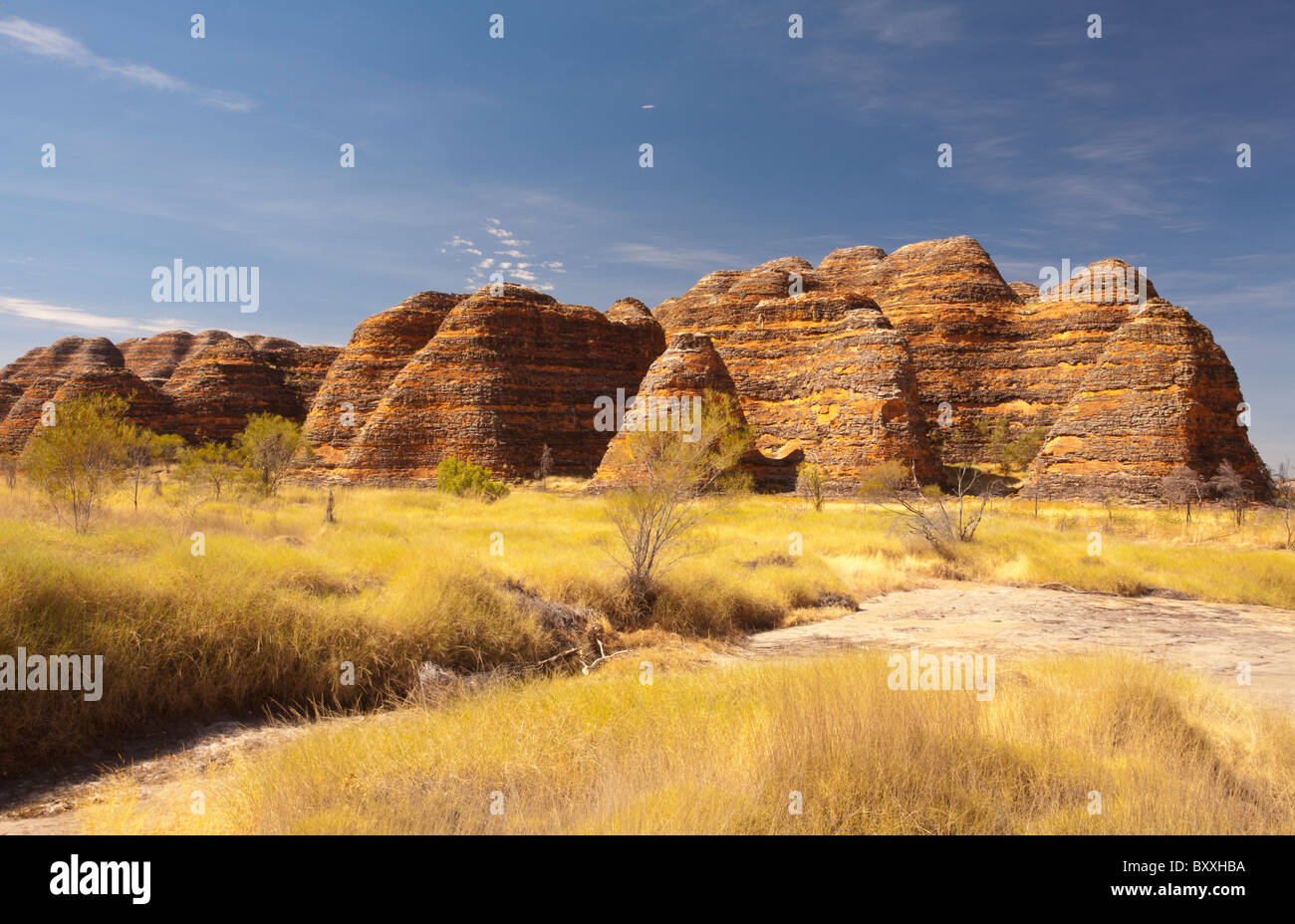 Formaciones de roca cónica en la Bungle Bungles, Parque Nacional de Purnululu, Kimberley, Australia Occidental Foto de stock
