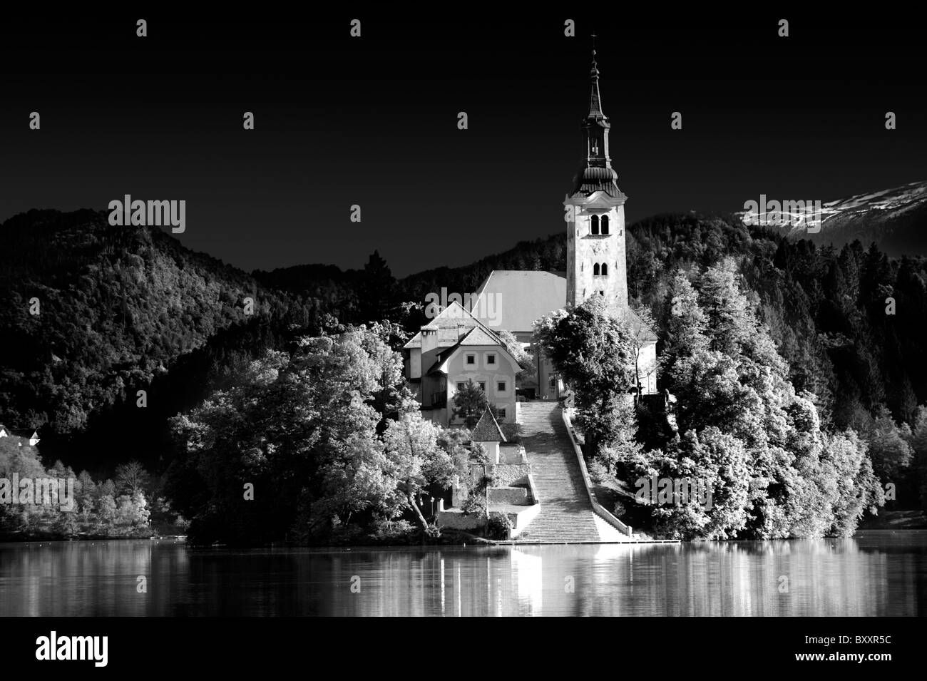 Asunción de María Iglesia de peregrinación en el centro del lago Bled Eslovenia, - blanco y negro Foto de stock