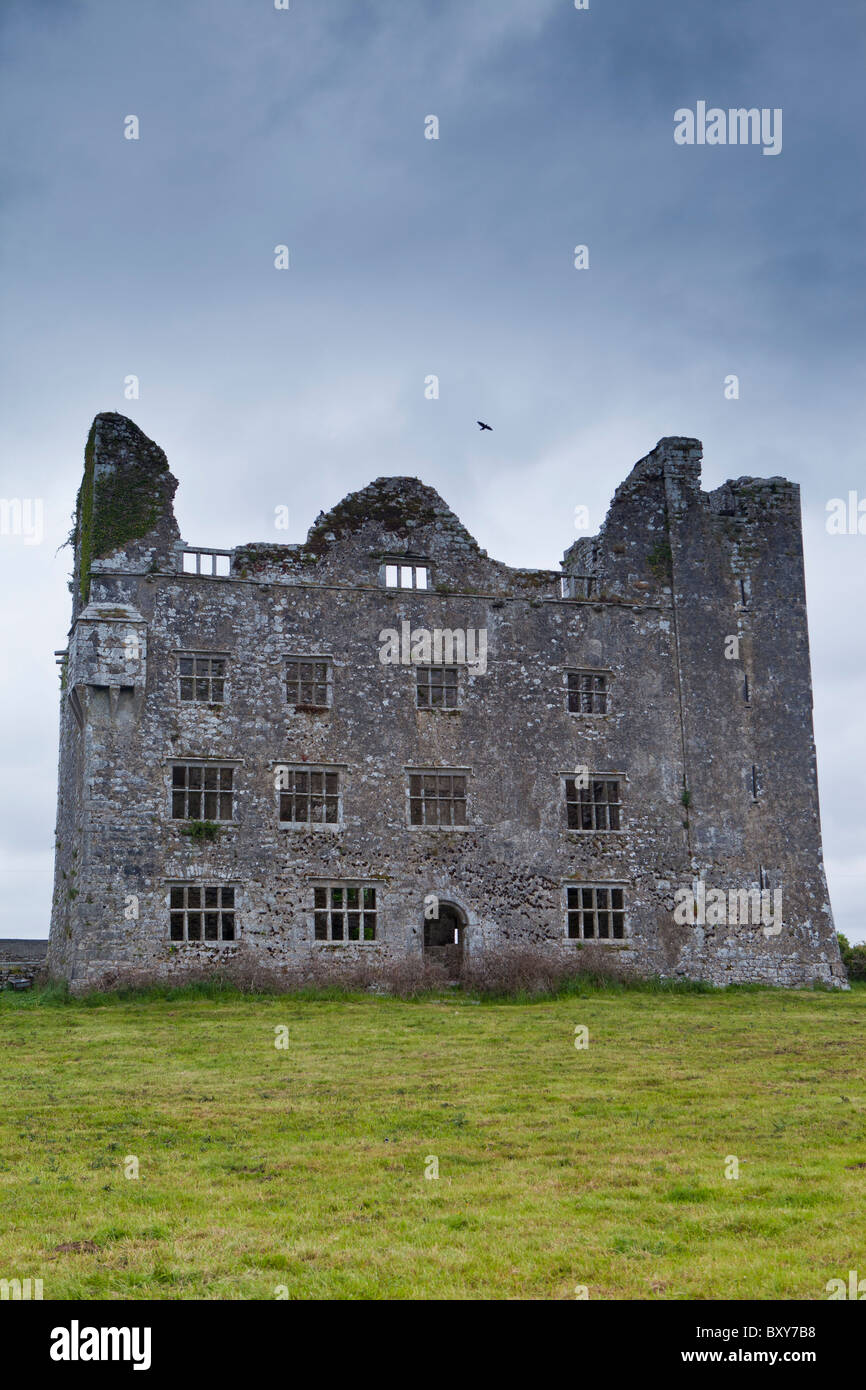 Las ruinas del castillo de Lemeneagh, hogar del legendario Maire Ruagh, construido siglos XV y XVII, Kilfenora, Condado de Clare Foto de stock