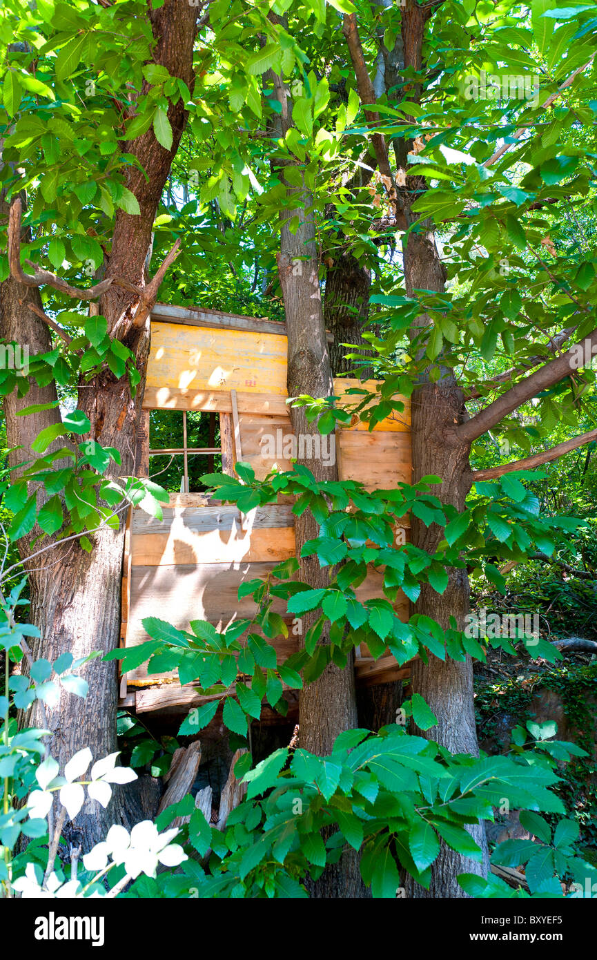 Casa del árbol Foto de stock