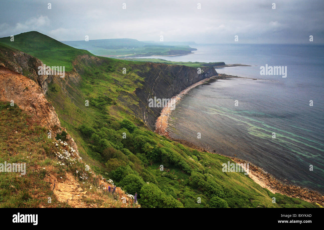 Acantilados y calas de la costa de Dorset, Engalnd Foto de stock