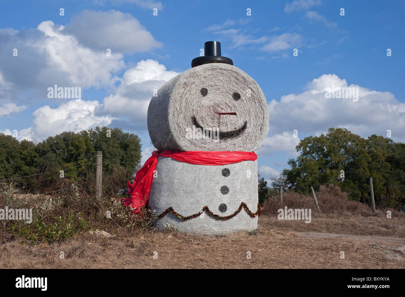 Muñeco de nieve de rollos de heno, junto a una pradera Florida Norte Foto de stock