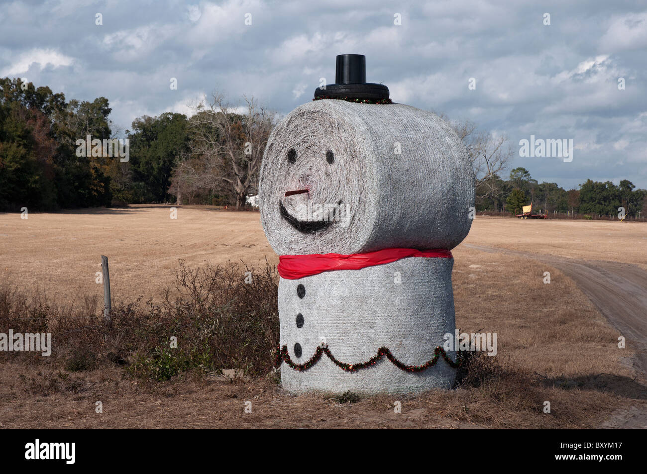 Muñeco de nieve de rollos de heno, junto a una pradera Florida Norte Foto de stock