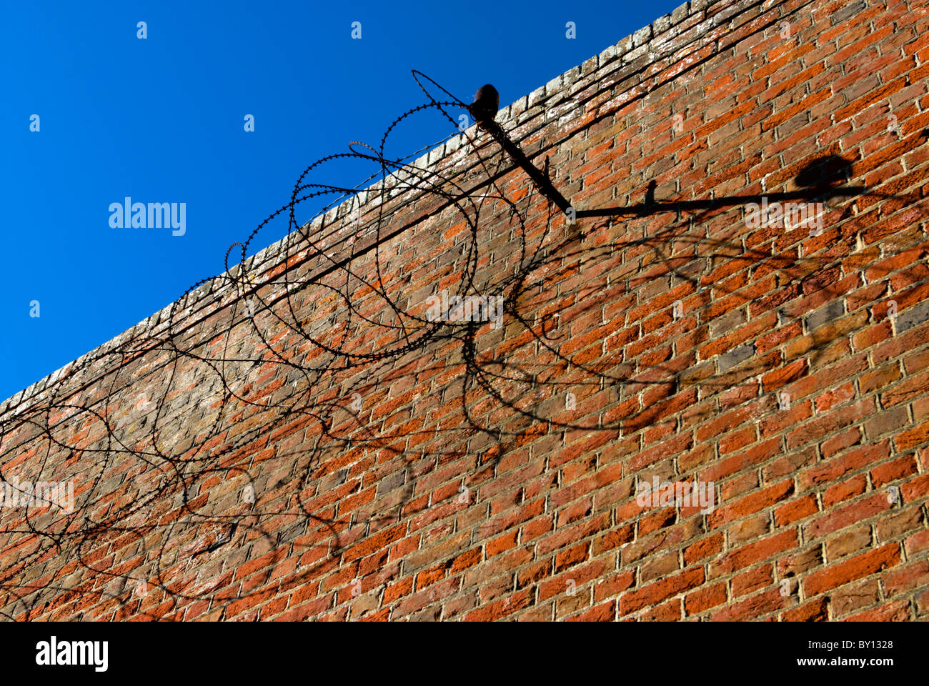 Sol de invierno arroja una sombra fuerte de un rollo de alambre de púas a través de una alta pared de ladrillo Foto de stock