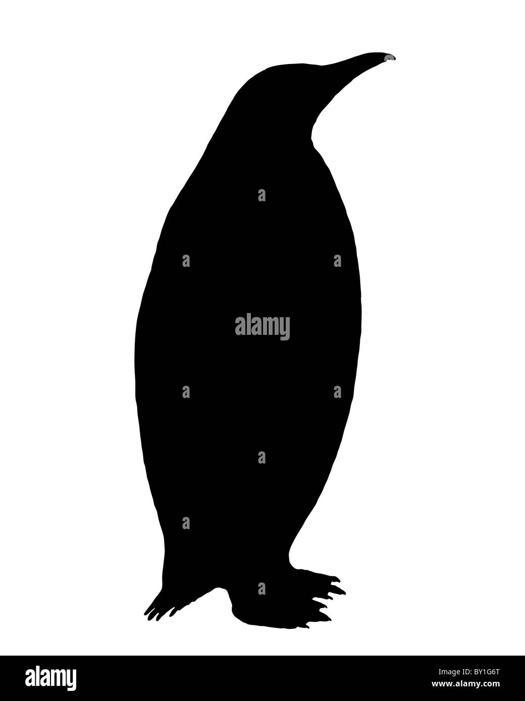 Silueta de pingüino Foto de stock