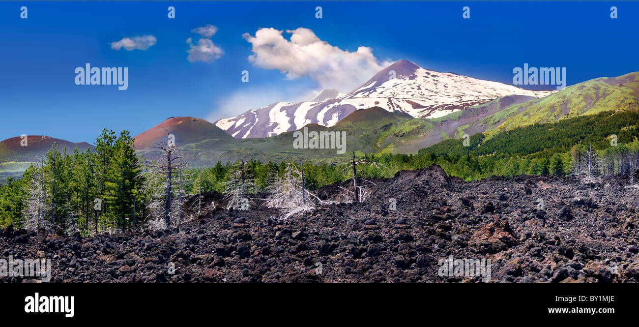 Ceniza volcánica en las laderas del monte Etna, montaña olcánica activa , Sicilia Foto de stock