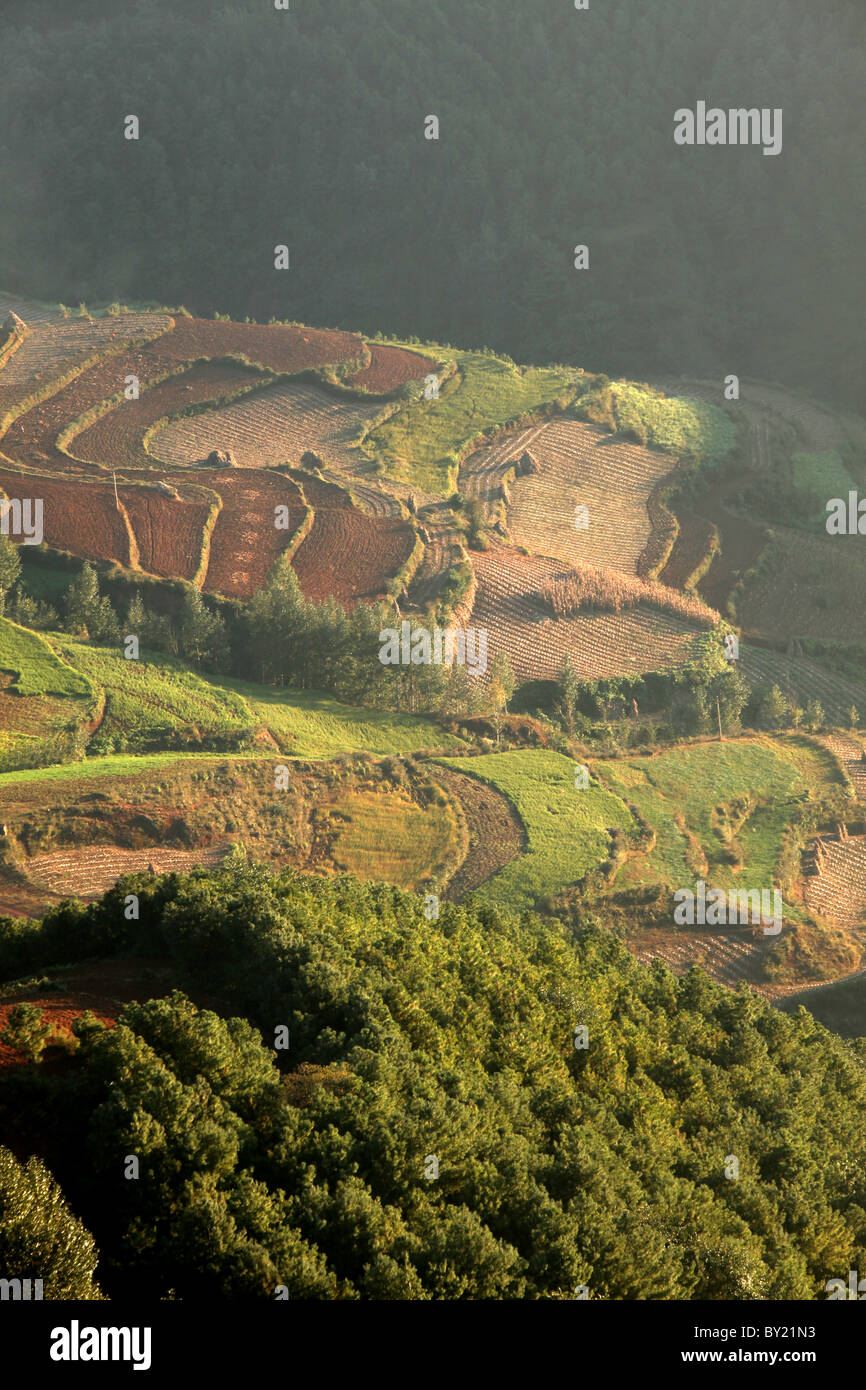 Tierra roja, Tierra Dongchuan, provincia de Yunnan, China Foto de stock