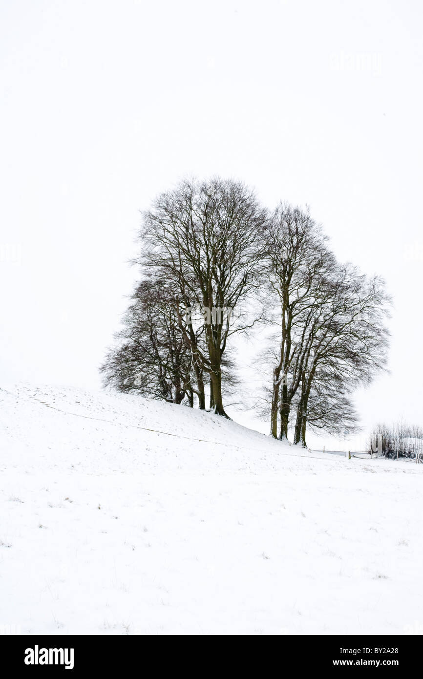 Avebury, Wiltshire en invierno la nieve. Foto de stock
