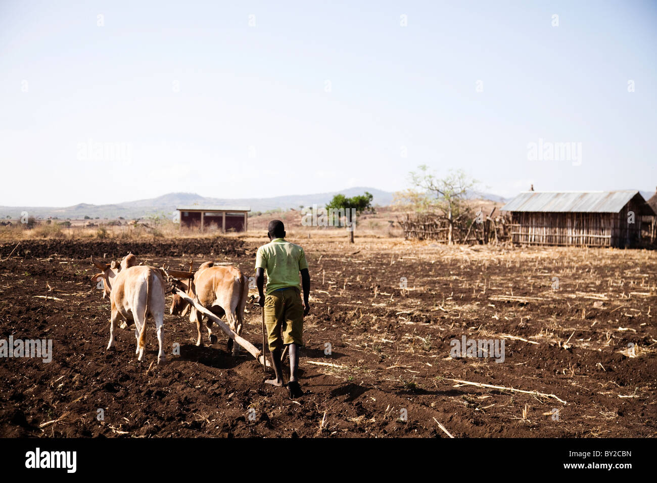 Los agricultores locales trabajan en el campo en el remoto valle de Omo, Etiopía. Foto de stock