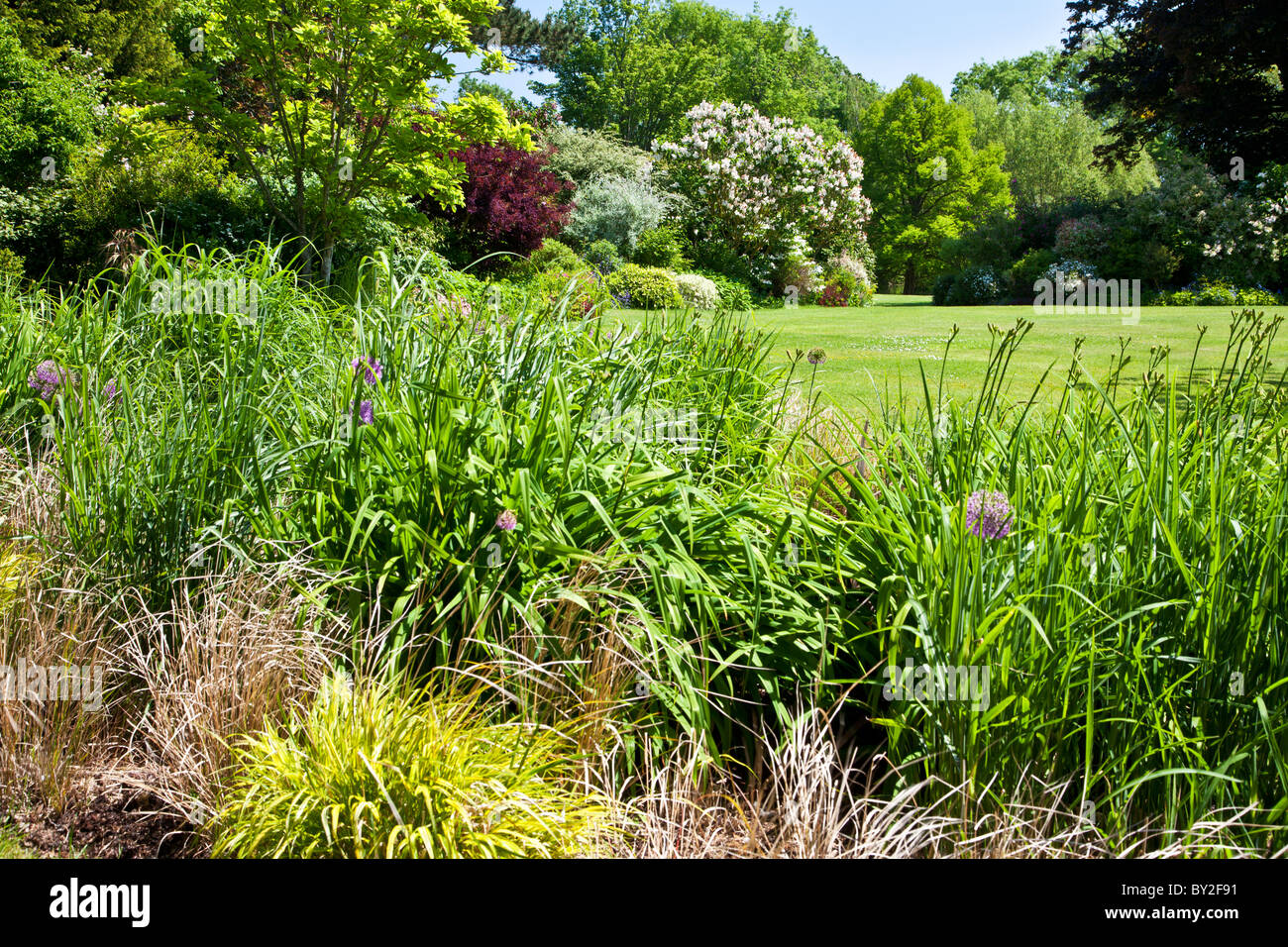 Un cuidado césped prolijamente en un país inglés jardín en verano con distintas especies de hierbas ornamentales en primer plano Foto de stock
