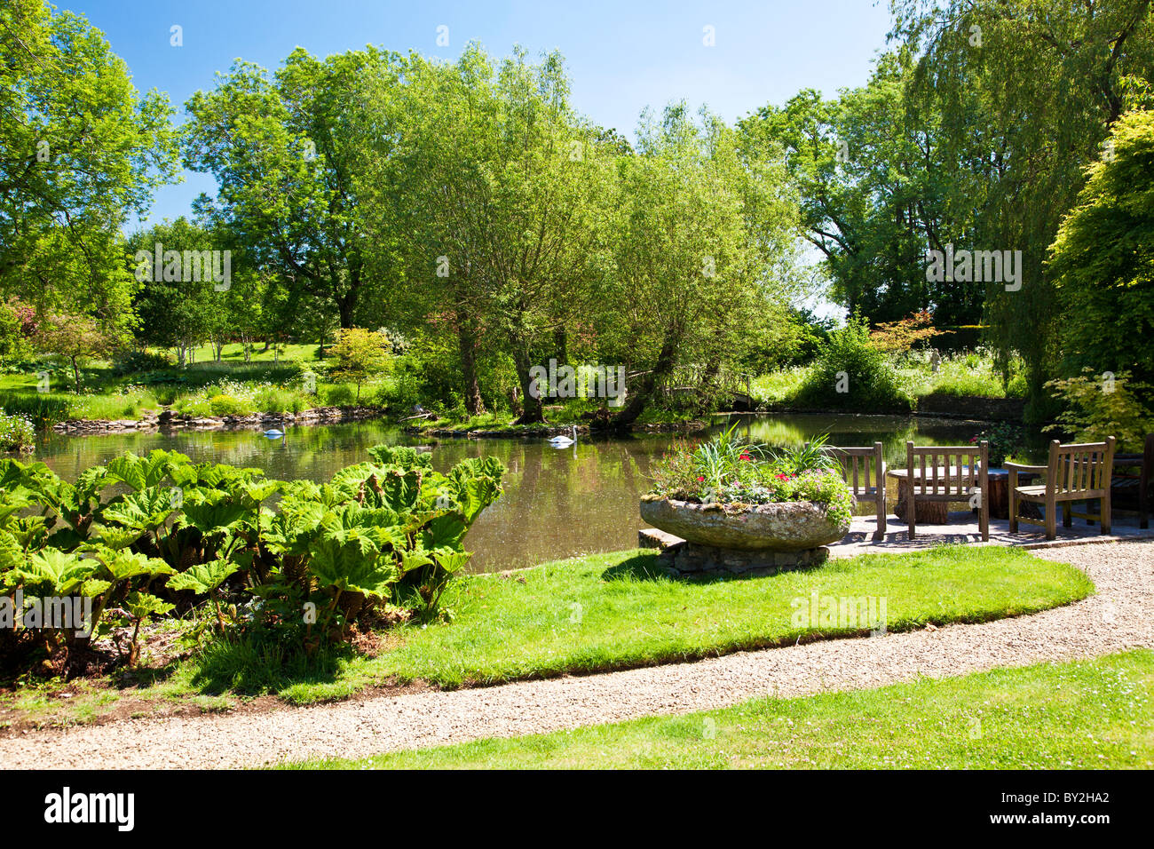 Un gran estanque ornamental o pequeño lago en un país inglés jardín en verano Foto de stock