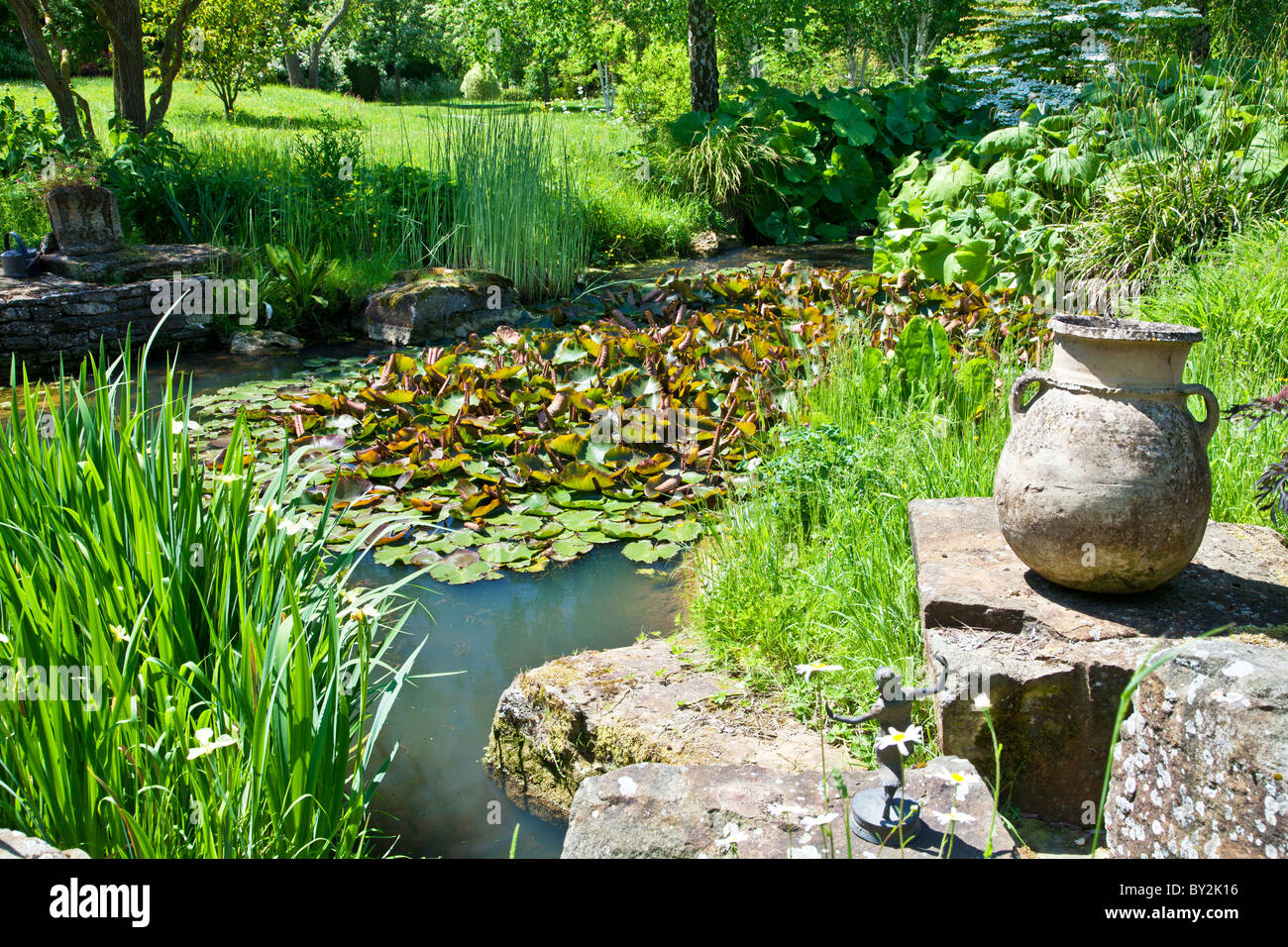 Agua de un pequeño estanque con nenúfares y otras plantas acuáticas y una urna de piedra rústica en inglés un país jardín en verano Foto de stock