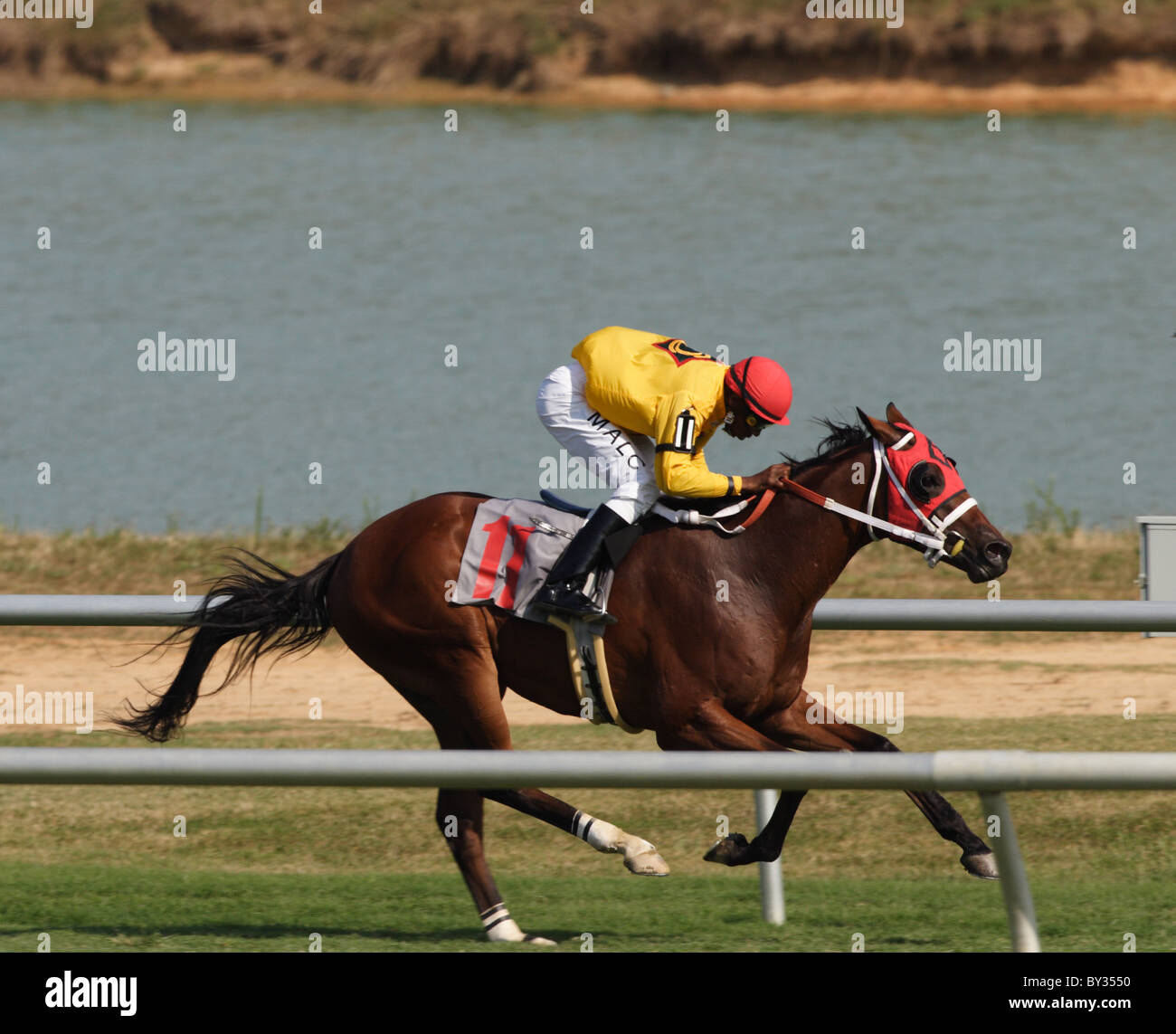 Jockey Malcolm Franklin rumbo a la línea de meta para lograr otra victoria en Colonial Downs, Virginia en 2010 Foto de stock