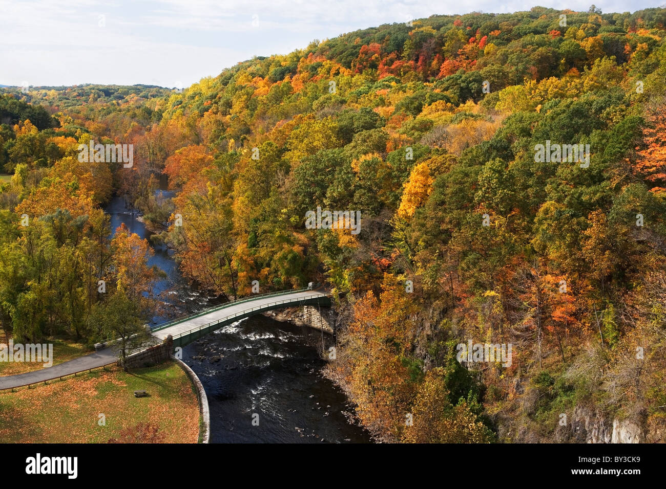 Los Estados Unidos, Nueva York, Croton, puente en el bosque Foto de stock