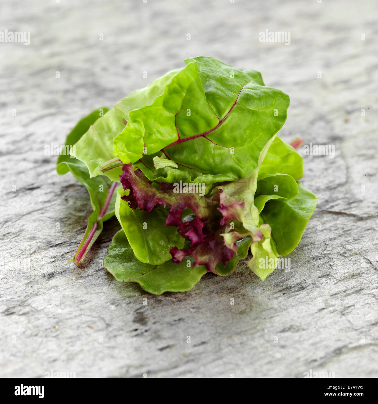 Hojas de lechuga mixta sobre fondo de pizarra Fotografía de stock - Alamy